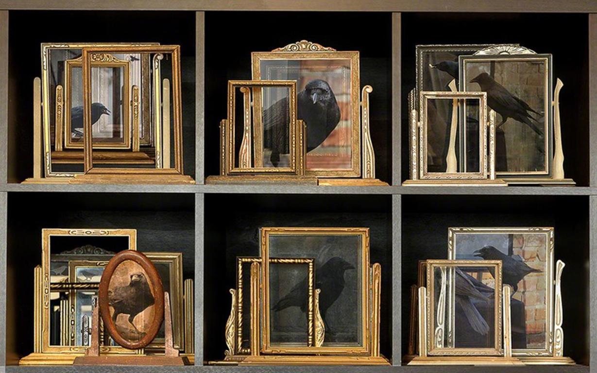 East West Connectors - Gold vintage picture frames w/ crows in black shelf grid - Photograph by Torrie Groening