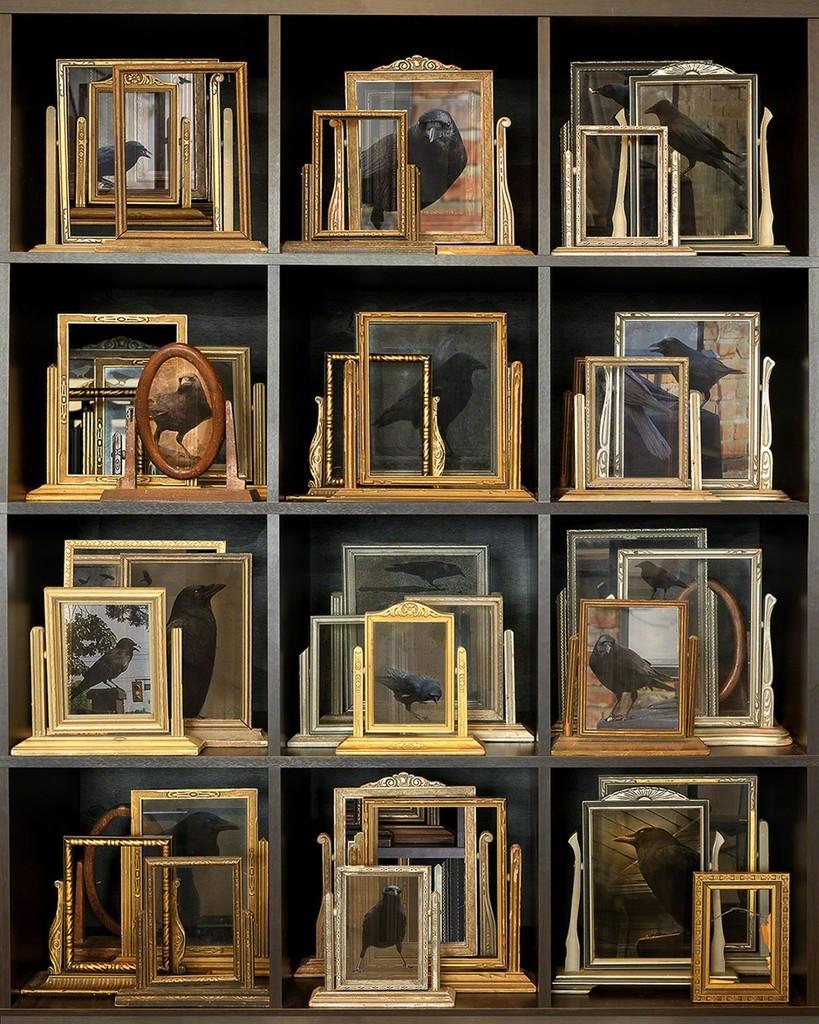 East West Connectors - Gold vintage picture frames w/ crows in black shelf grid - Contemporary Photograph by Torrie Groening