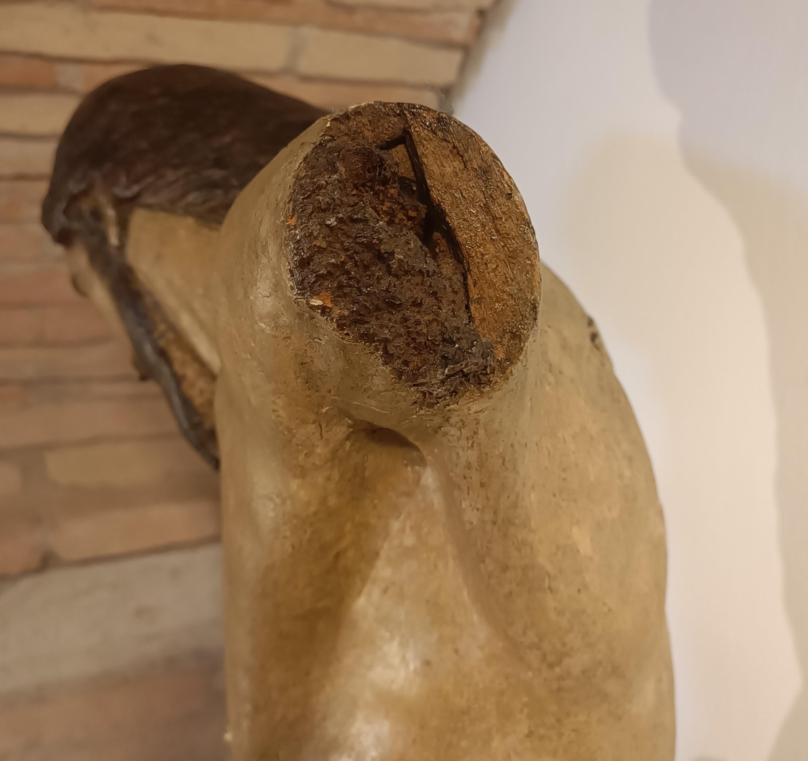 Torso Cristo ligneo policromo fine 500 Umbro-Toscano, alta classe For Sale 4