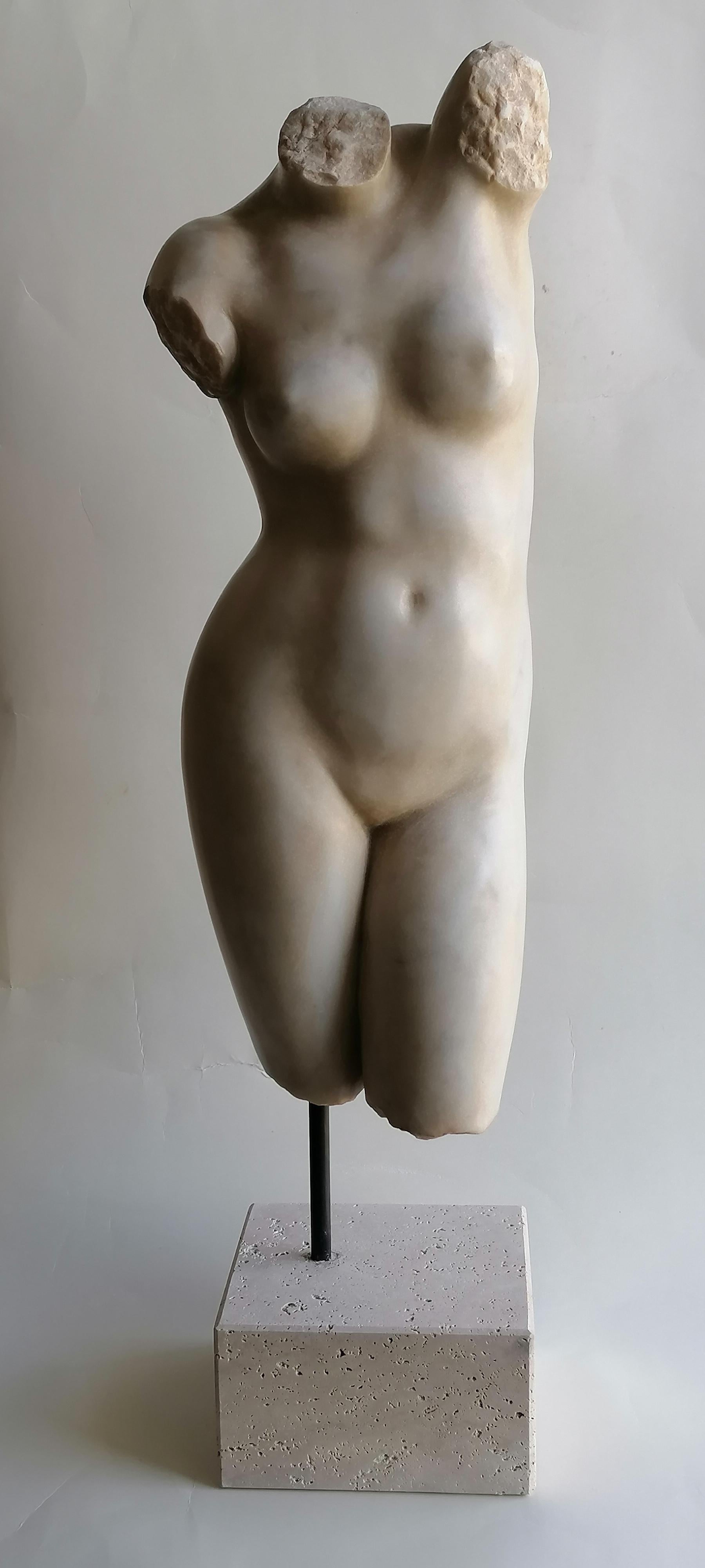 Sculpture, Female torso, classical art, Greek art, Torso, white Carrara marble, classical sculpture, ancient torso, venus torso
Female torso carved on beautiful white Carrara marble.
Resting on a base of Roman travertine and iron
The height given in