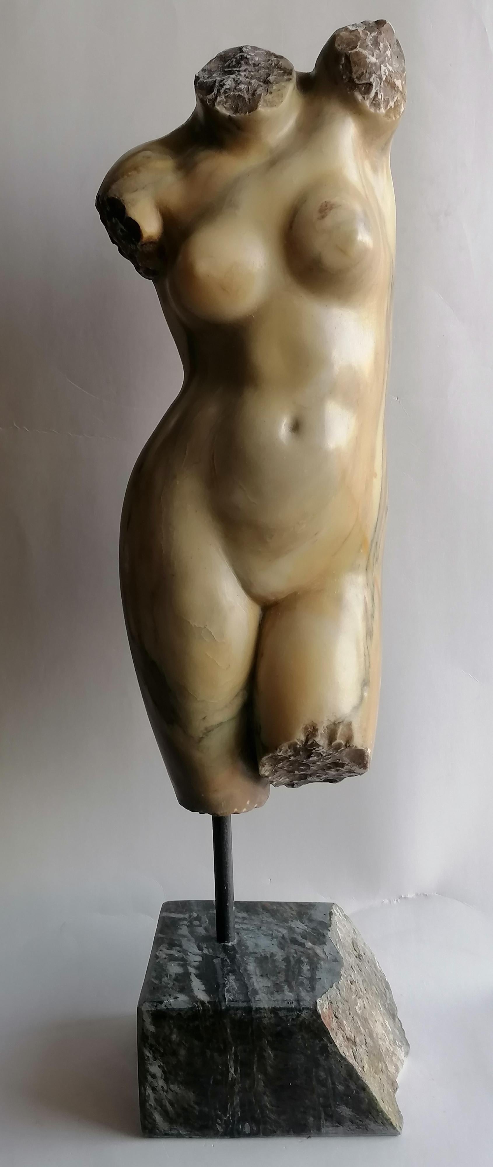 Scultura, Torso femminile, arte classica, arte greca, Torso, marmo bianco Carrara, scultura classica, torso antico, torso venere
Torso femminile scolpito su bellissimo marmo giallo Siena.
Poggiante su una base in marmo scuro e ferro
L'altezza