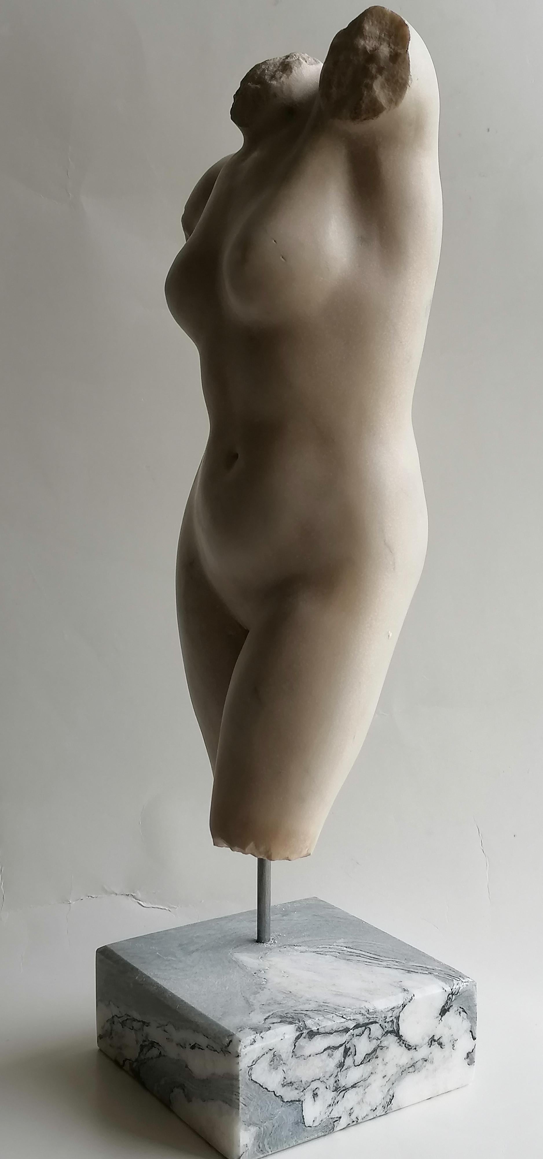 Escultura, Torso femenino, arte clásico, arte griego, Torso, mármol blanco de Carrara, escultura clásica, torso antiguo, torso de Venus, arte griego, arte romano
Torso femenino esculpido en hermoso mármol blanco de Carrara.
Descansa sobre una base