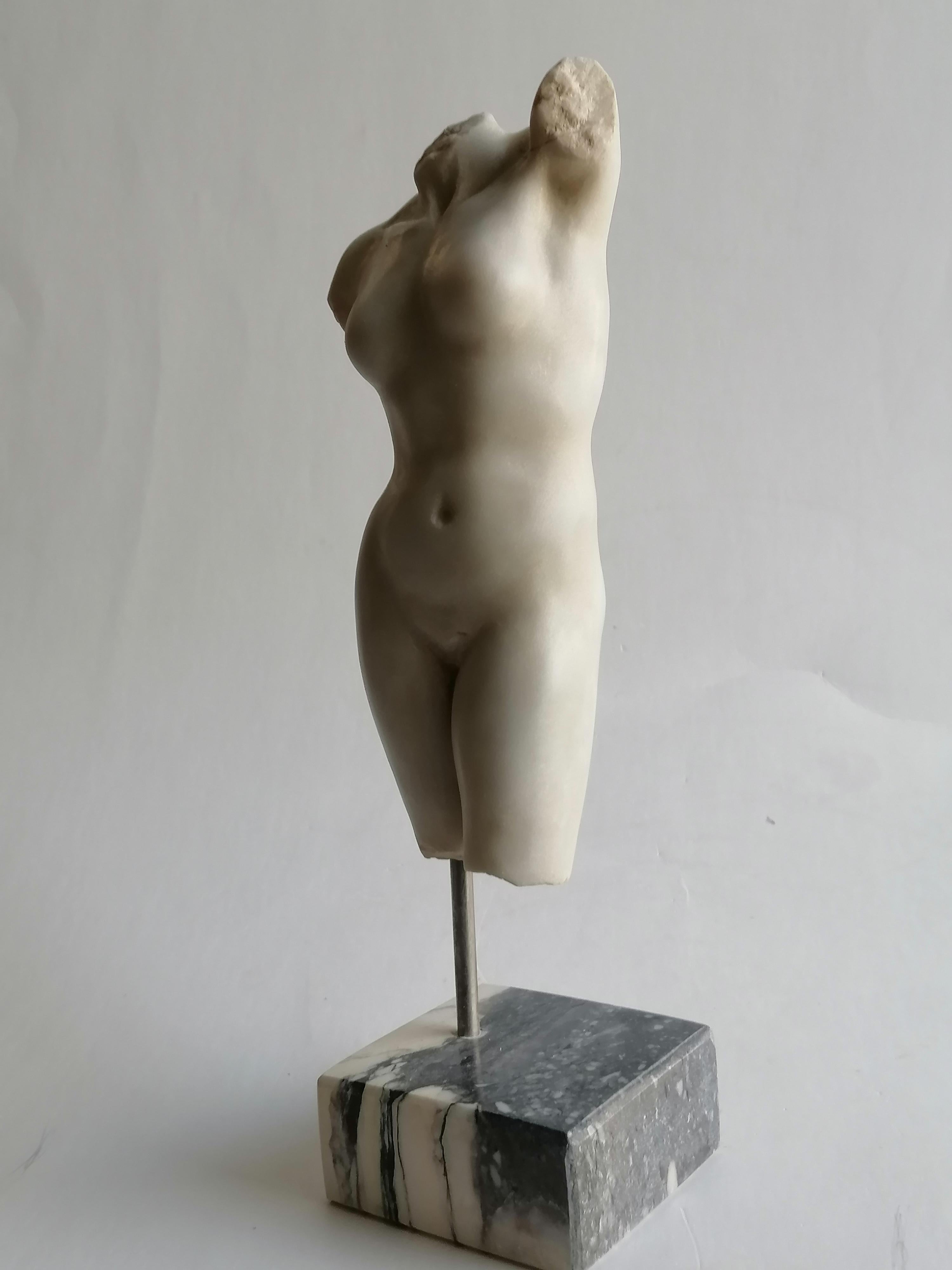 Carrara Marble Torso femminile scolpito su marmo bianco Carrara - miniatura -made in Italy For Sale