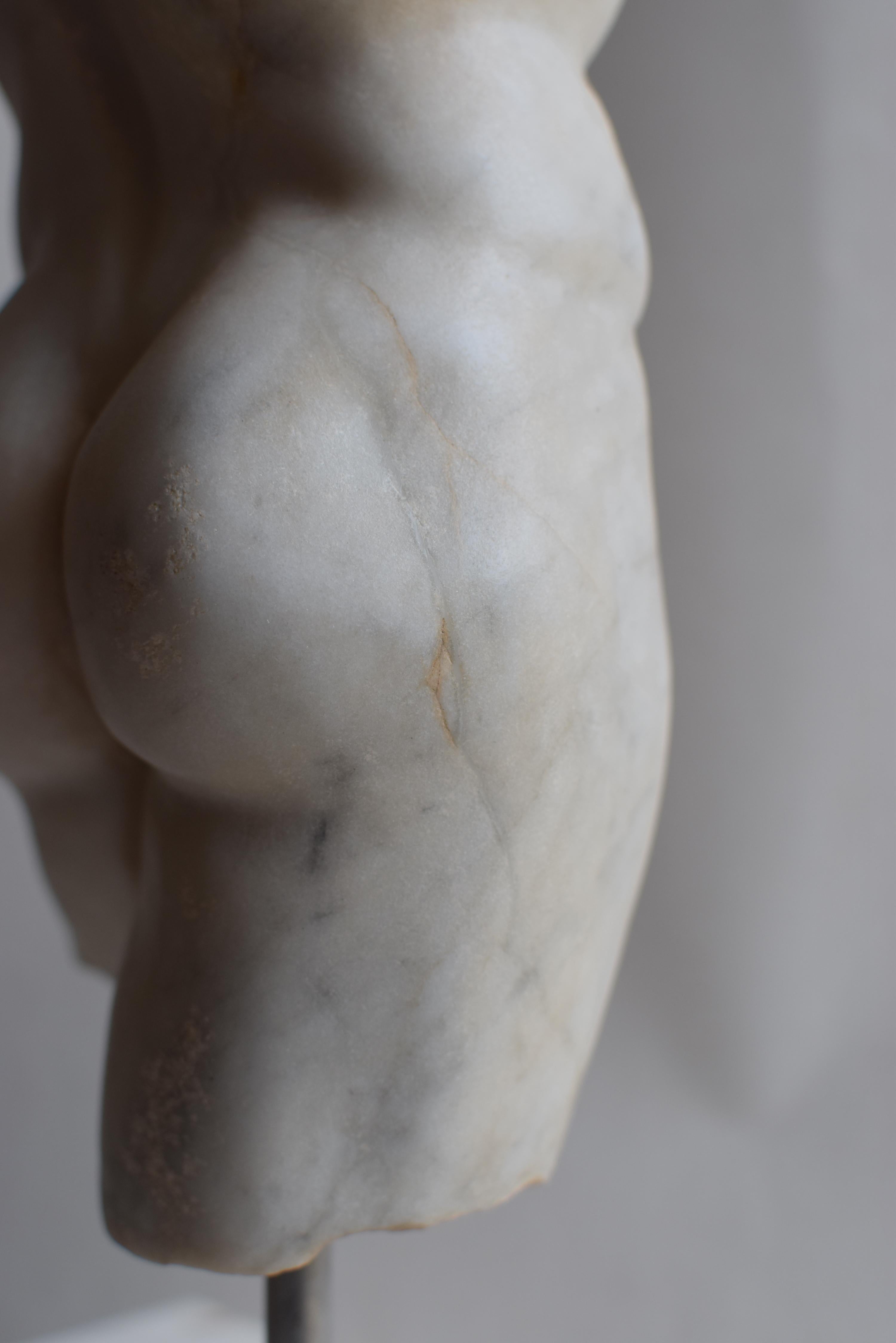 Torso maschile classico in marmo bianco di Carrara en vente 2