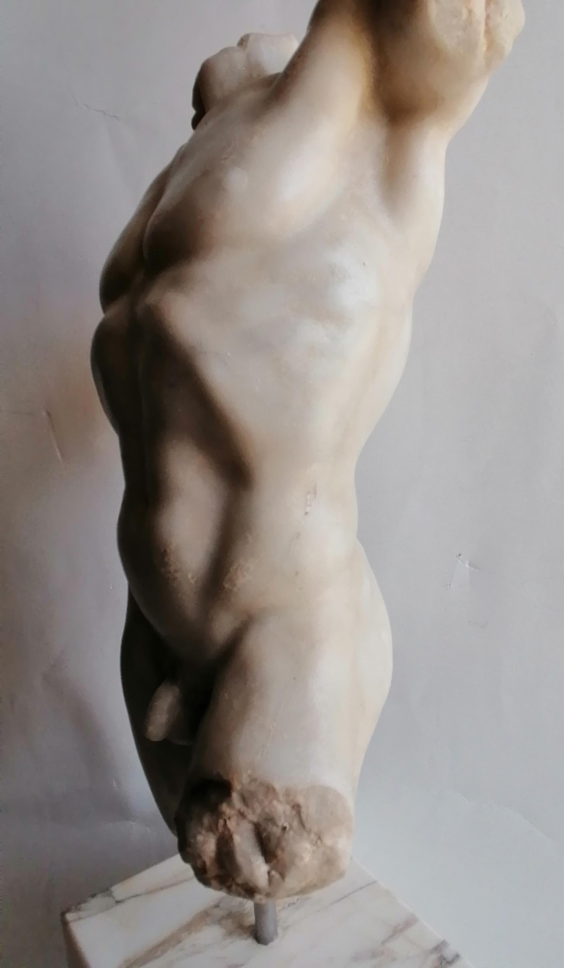 Torso maschile classico in marmo bianco di Carrara en vente 3