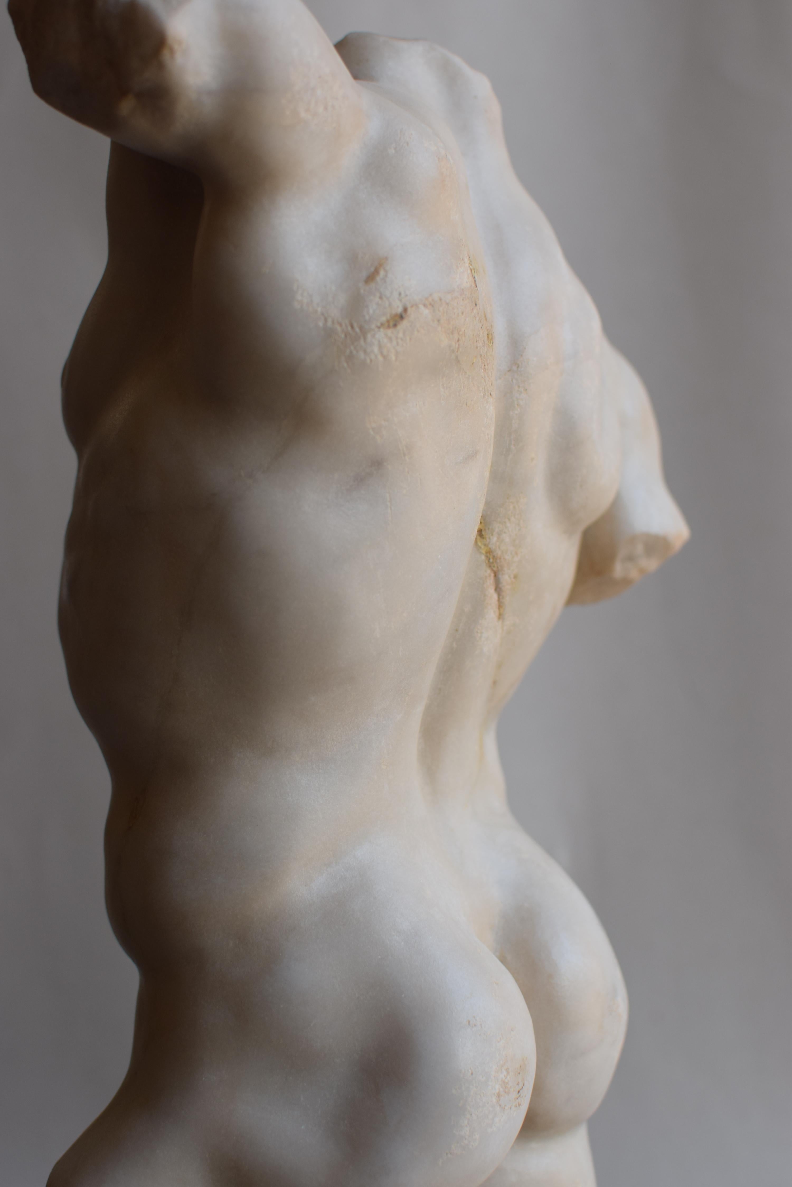 Torso maschile classico in marmo bianco di Carrara For Sale 4
