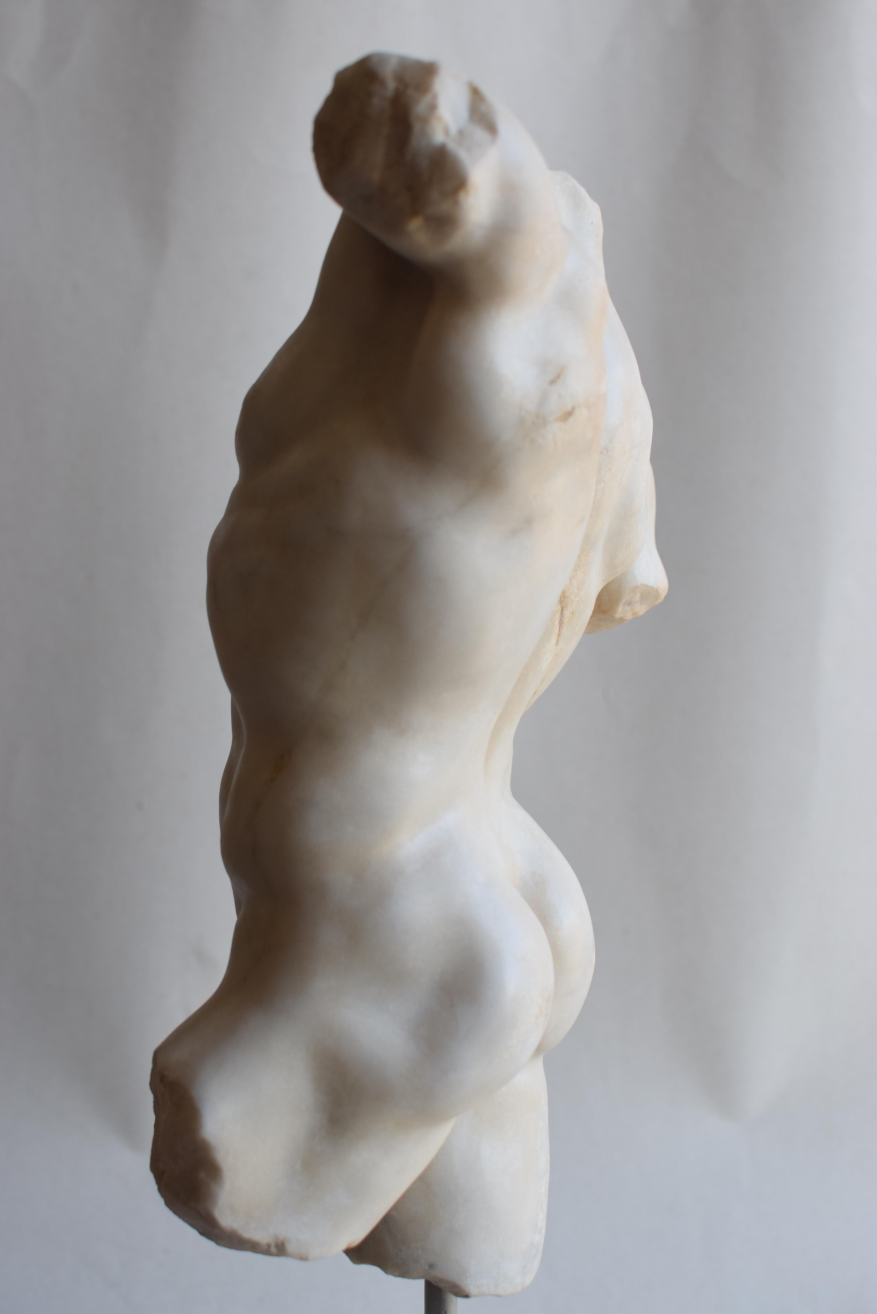 Torso maschile classico in marmo bianco di Carrara In Good Condition For Sale In Tarquinia, IT
