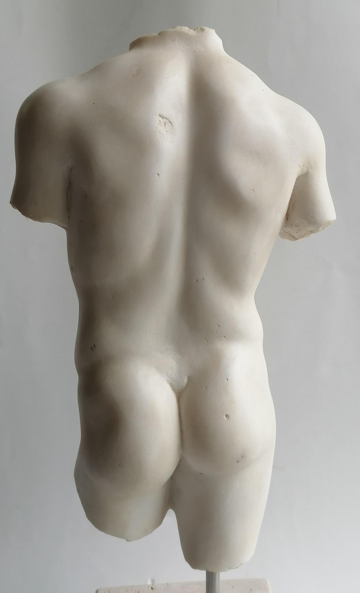 Late 20th Century Torso maschile classico in marmo bianco di Carrara For Sale