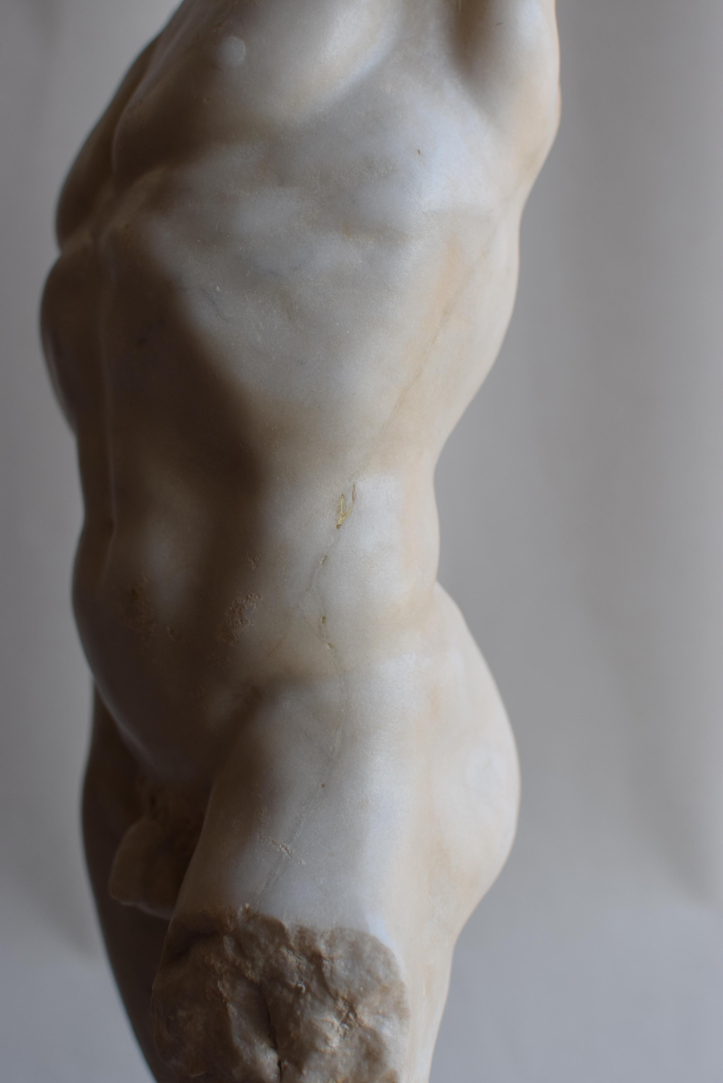 Late 20th Century Torso maschile classico in marmo bianco di Carrara For Sale