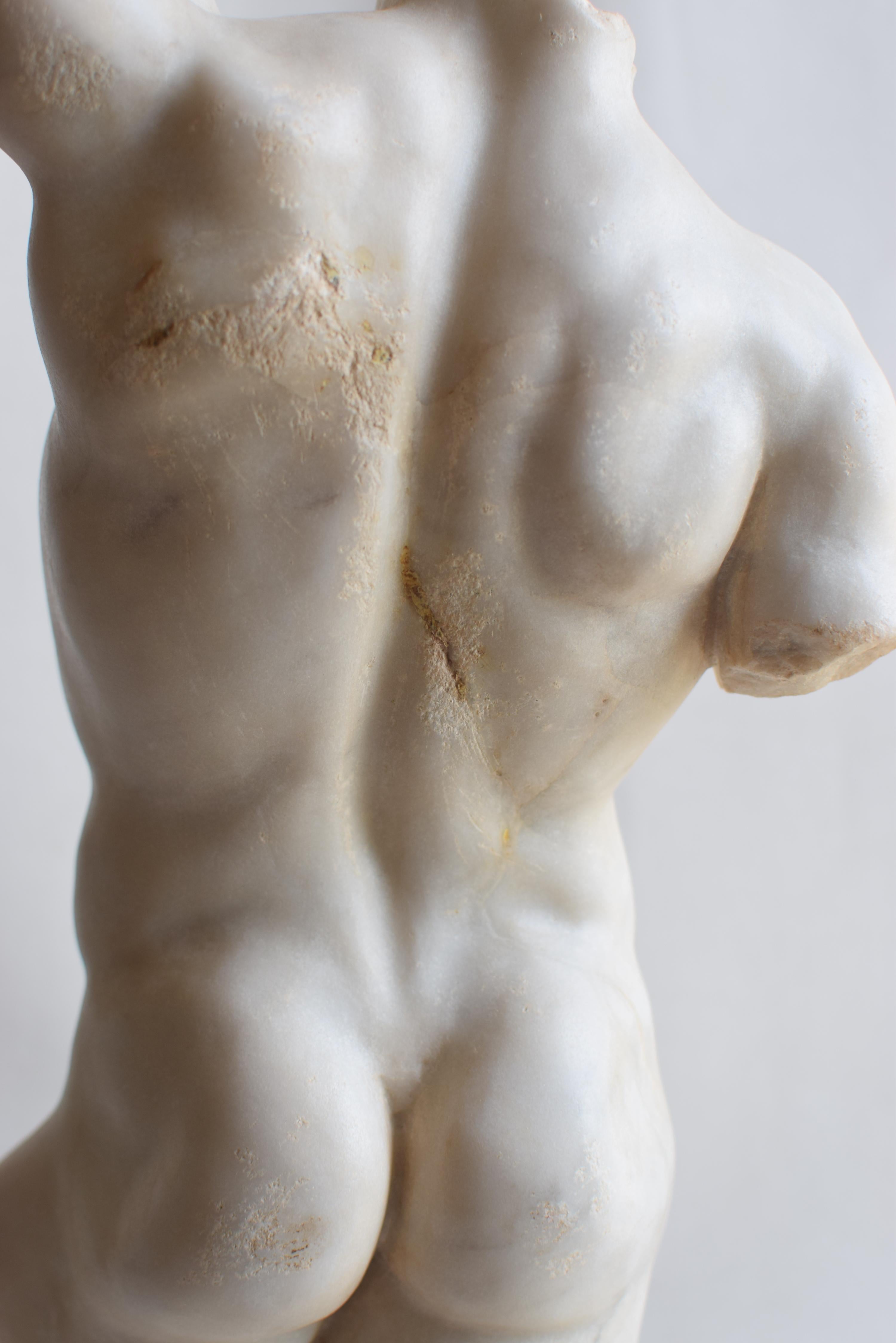 Marble Torso maschile classico in marmo bianco di Carrara For Sale