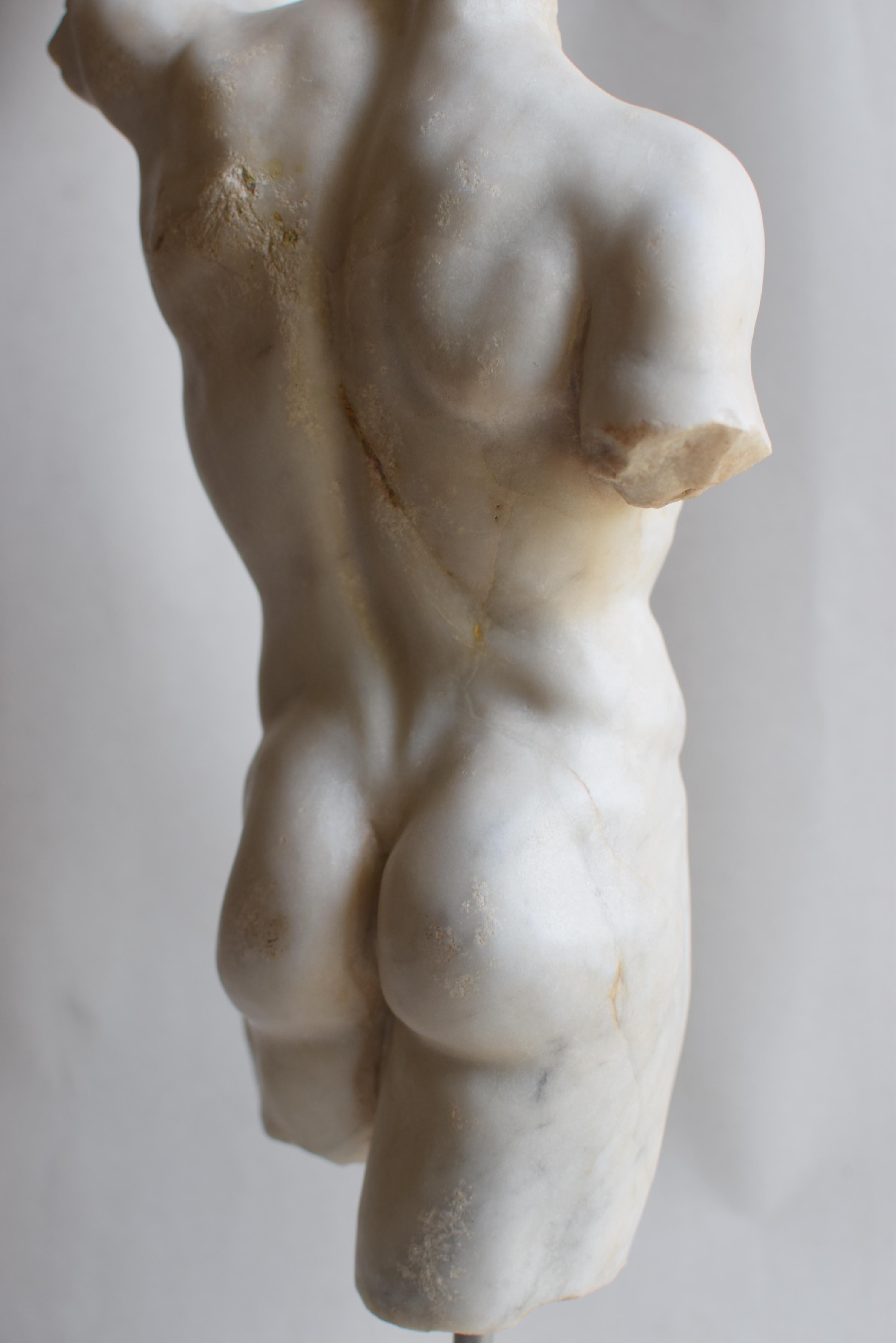 Torso maschile classico in marmo bianco di Carrara en vente 1