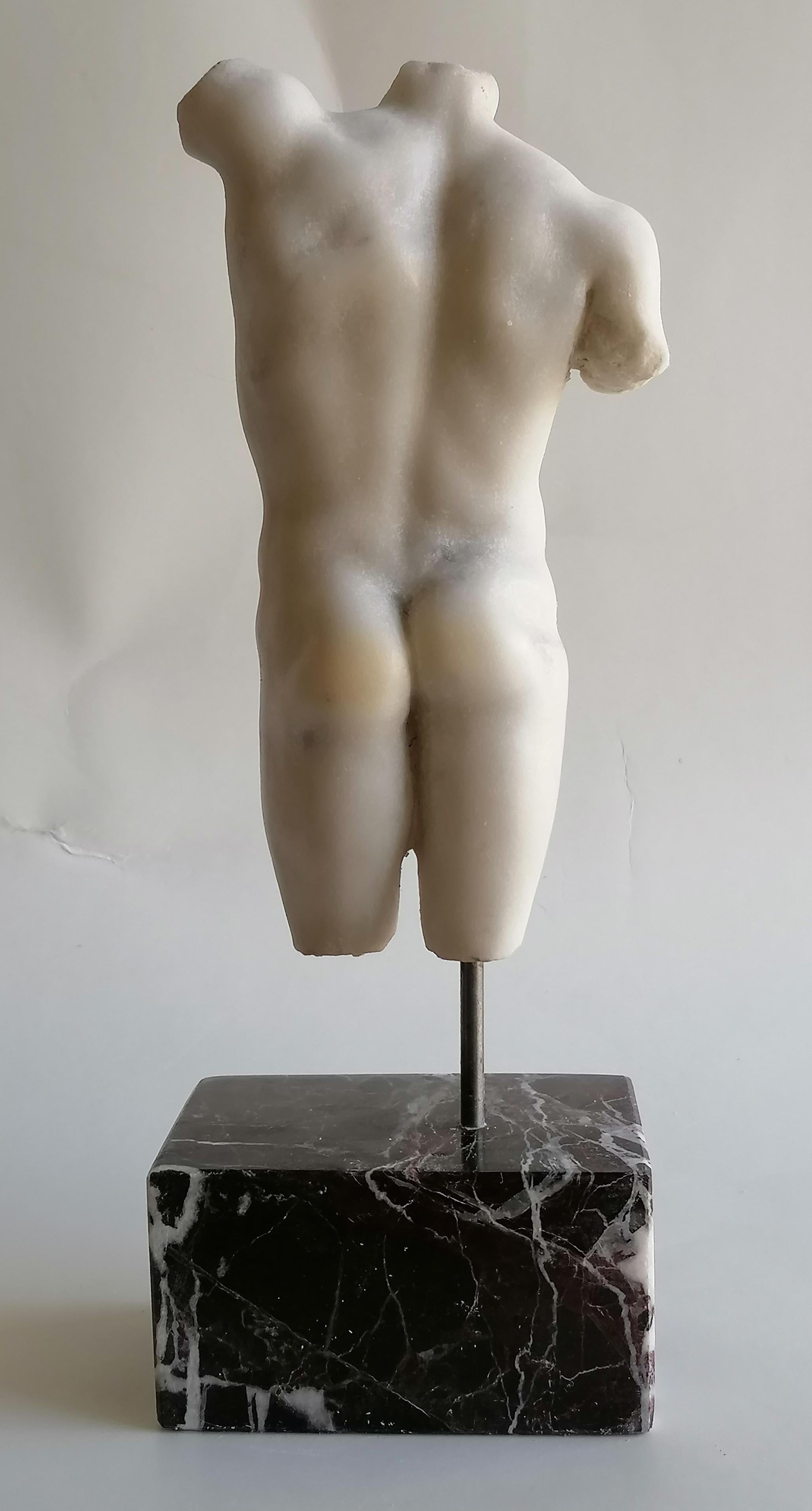 Scultura, Torso maschile, arte classica, arte greca, Torso, marmo bianco Carrara, scultura classica, torso bronzi Riace
Piccolo Torso maschile scolpito su bellissimo marmo bianco di Carrara, ispirato alla bellezza classica della scultura