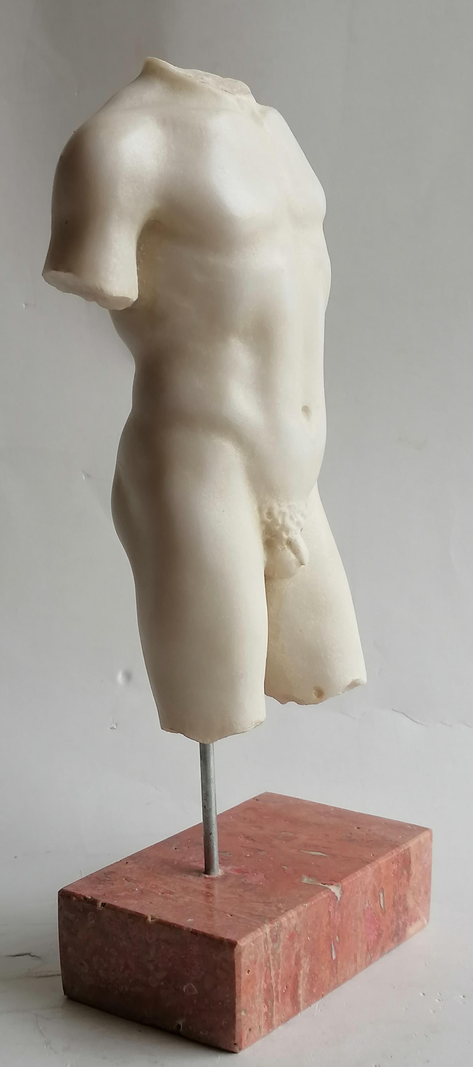 Italian Torso maschile classico in marmo bianco Carrara - miniatura