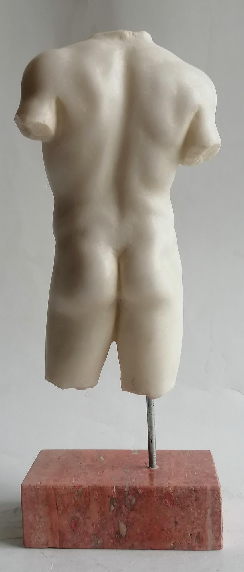 Hand-Crafted Torso maschile classico in marmo bianco Carrara - miniatura