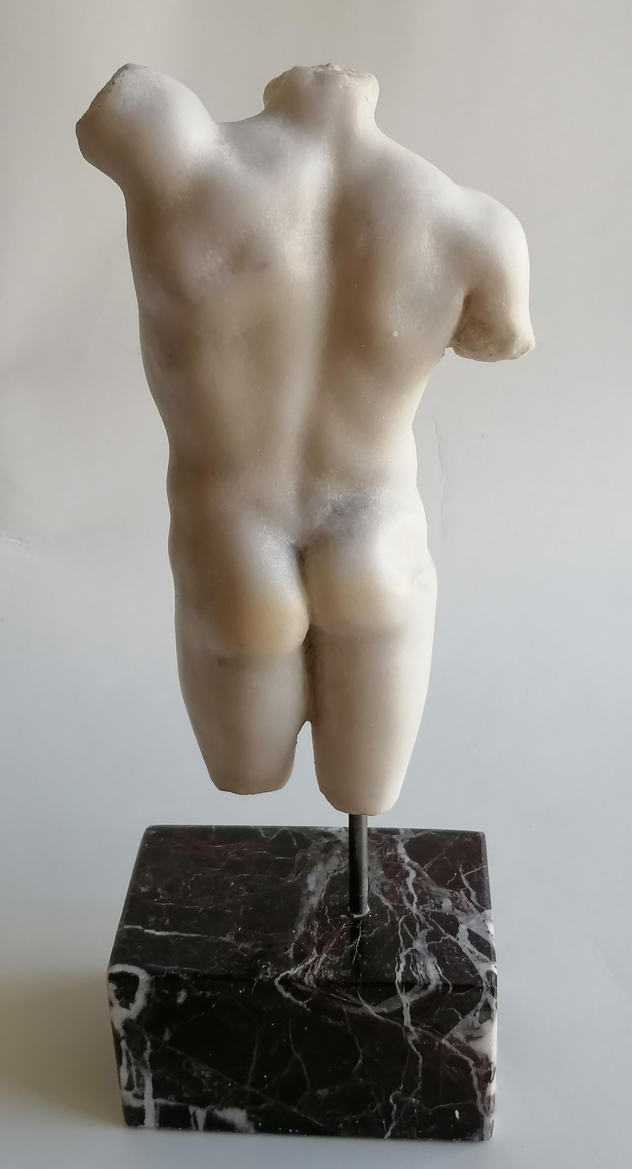Torso maschile classico in marmo bianco Carrara - miniatura In condizioni ottime in vendita a Tarquinia, IT