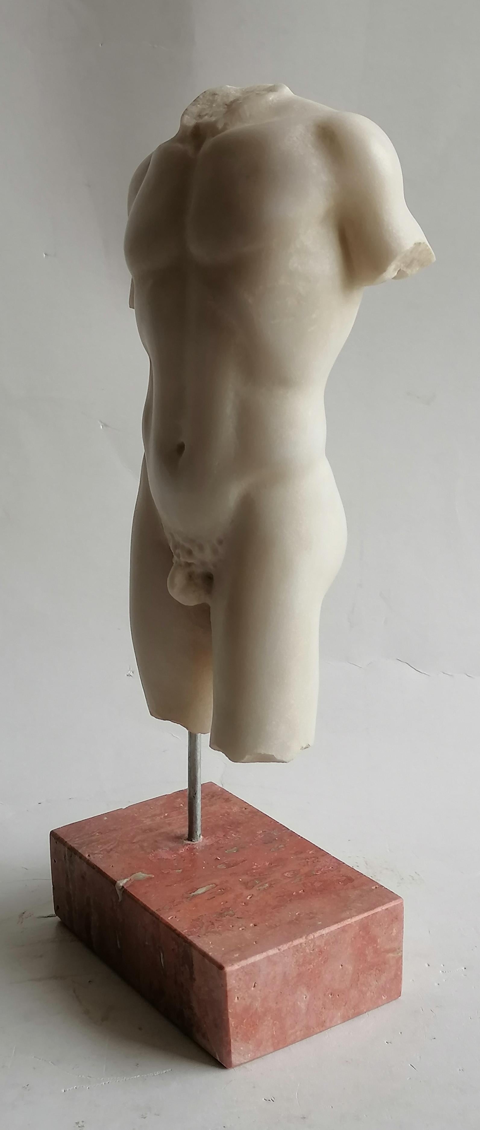 Contemporary Torso maschile classico in marmo bianco Carrara - miniatura