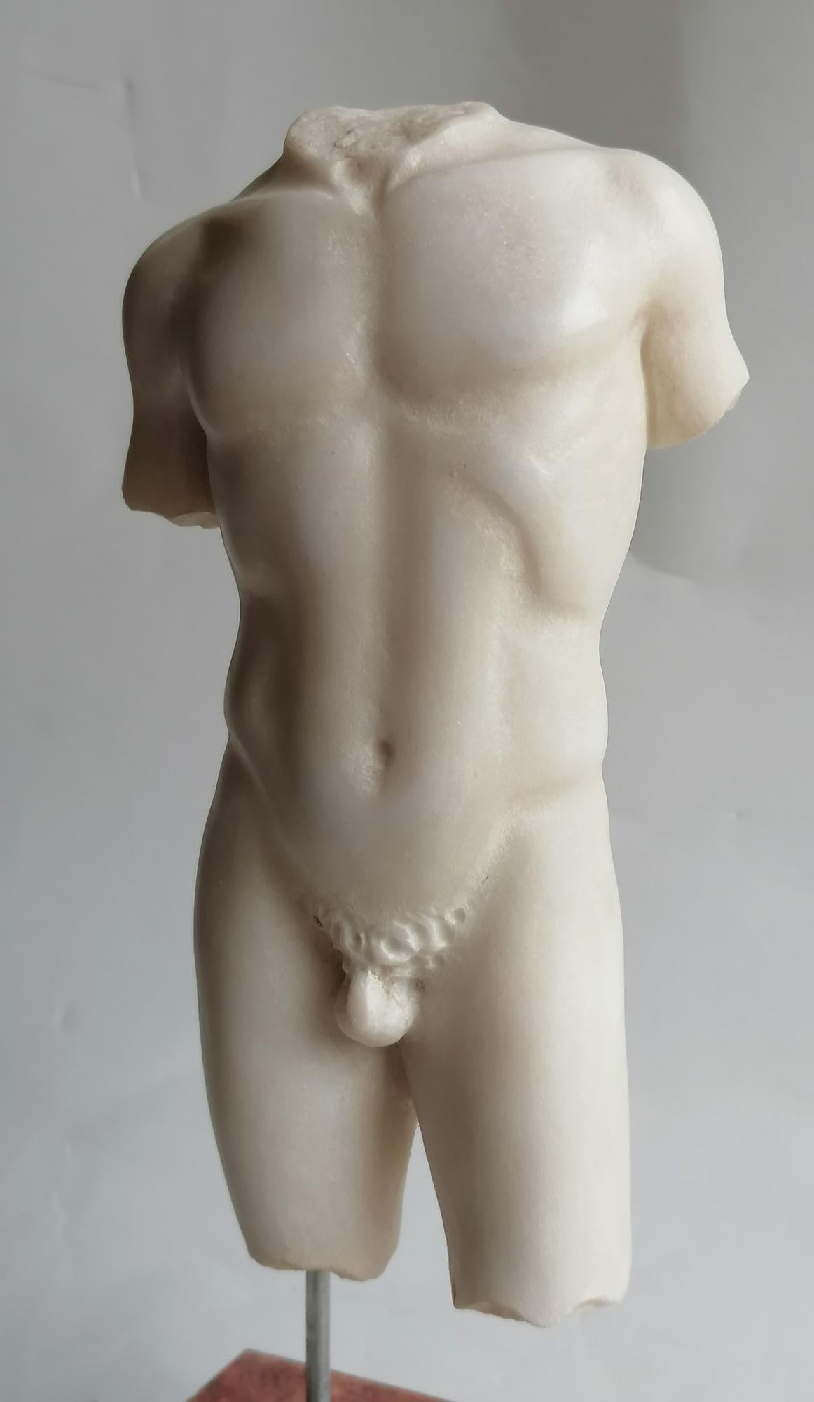 Carrara Marble Torso maschile classico in marmo bianco Carrara - miniatura