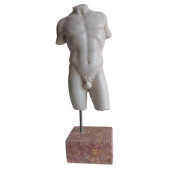 Torso maschile classico in marmo bianco Carrara - miniatura