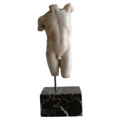 Torso maschile classico in marmo bianco Carrara - miniatura