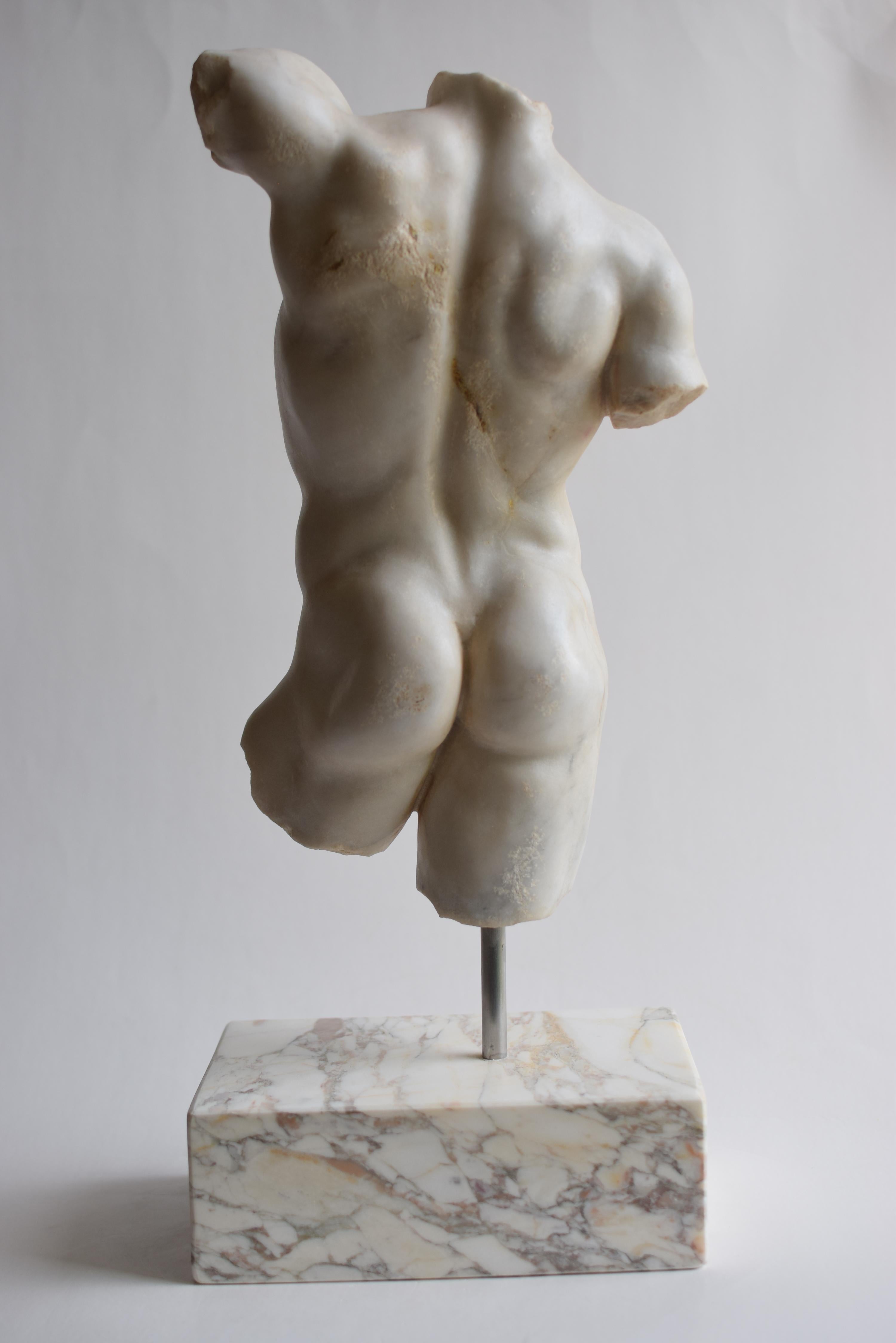 Torso maschile classico in marmo bianco di Carrara en vente 5
