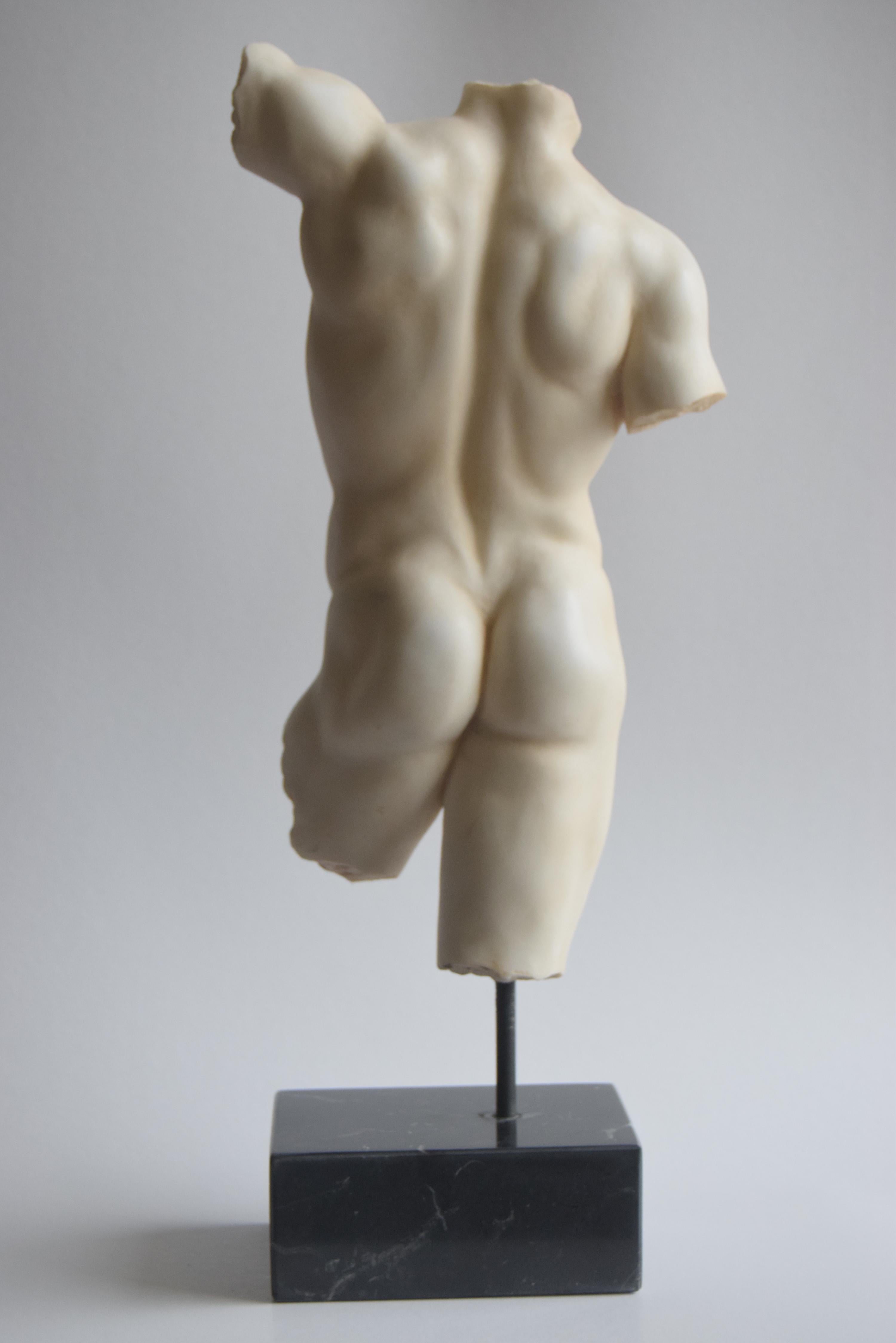 Classic male torso in sculptural white Carrara marble -made in Italy ...