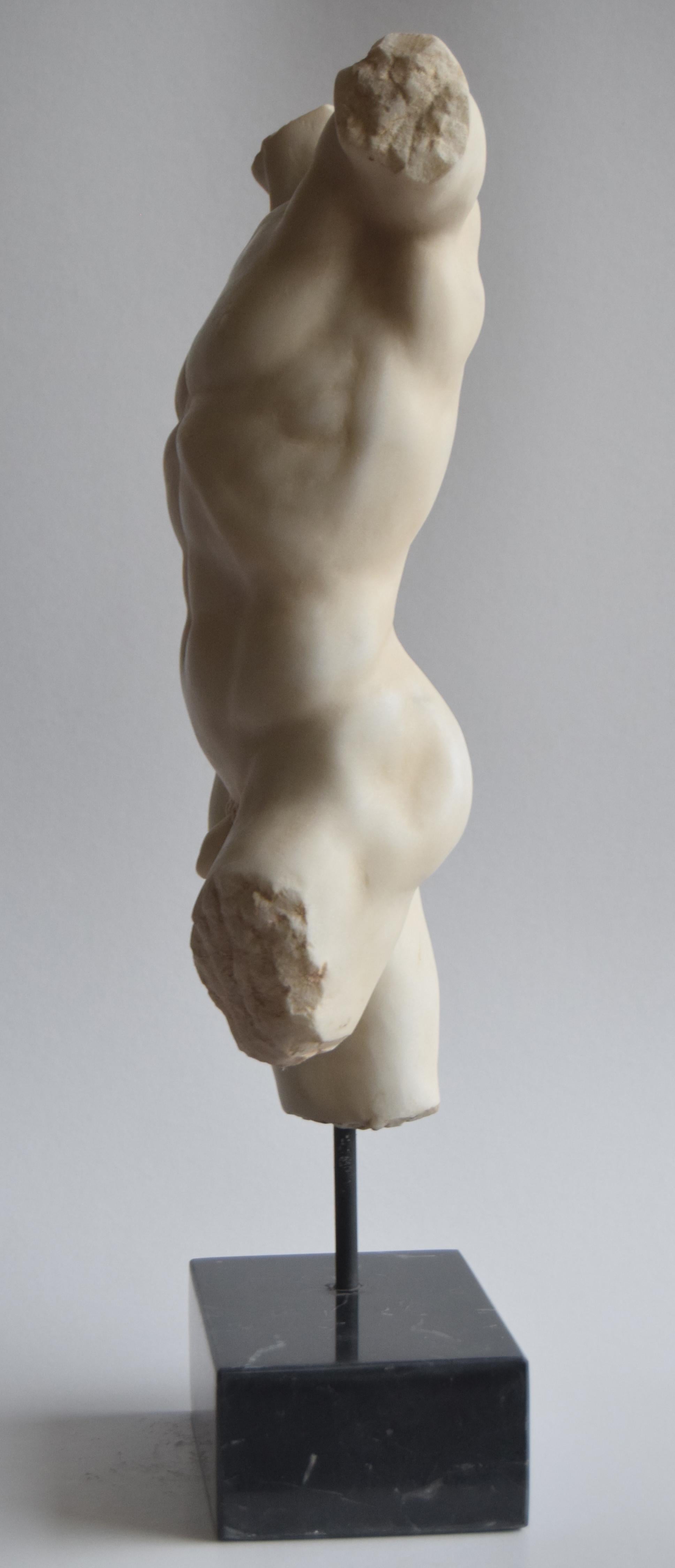 Classic male torso in sculptural white Carrara marble -made in Italy ...