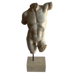 Classic male torso in sculptural white Carrara marble -made in Italy