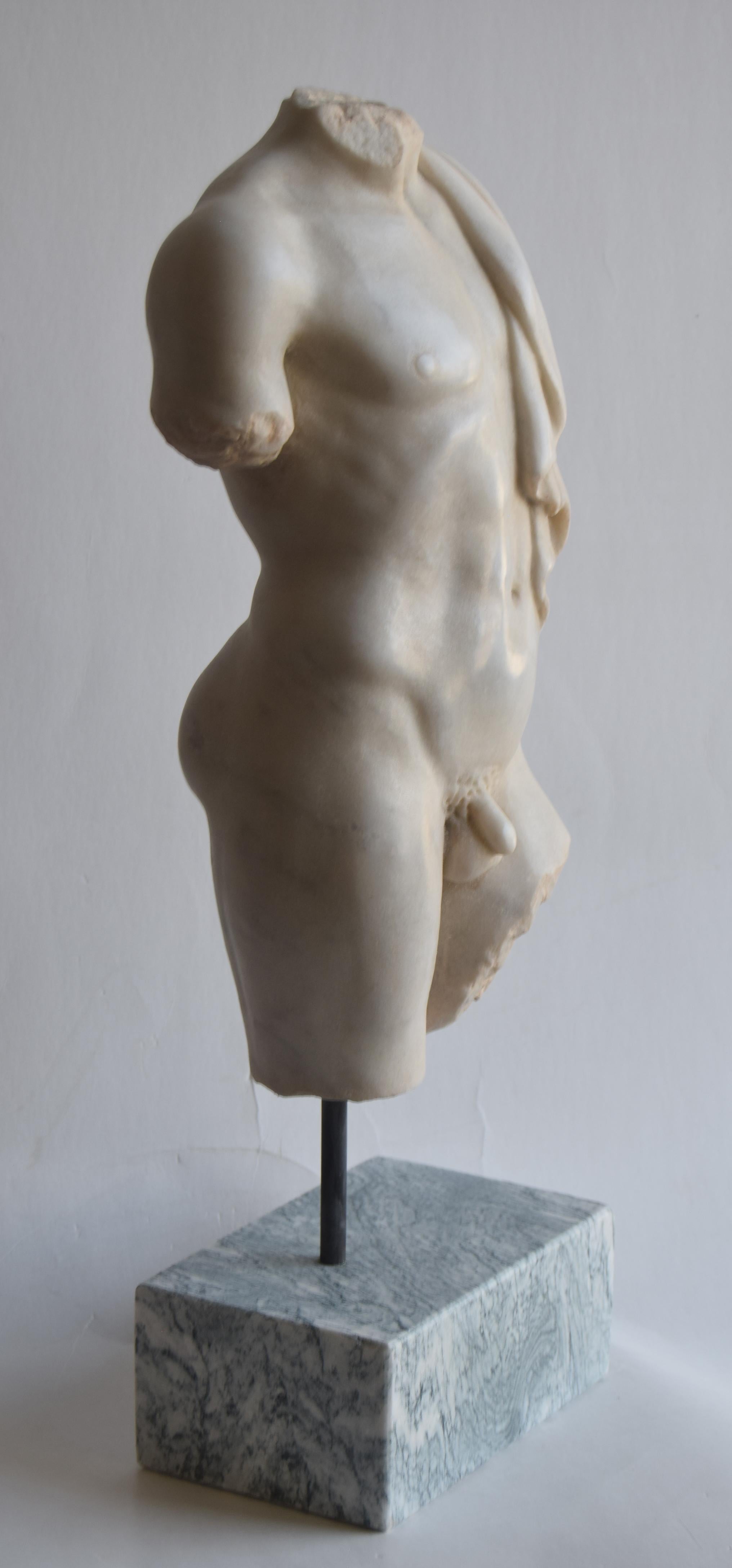 Italian Classical male torso carved on white Carrara marble -made in Italy For Sale