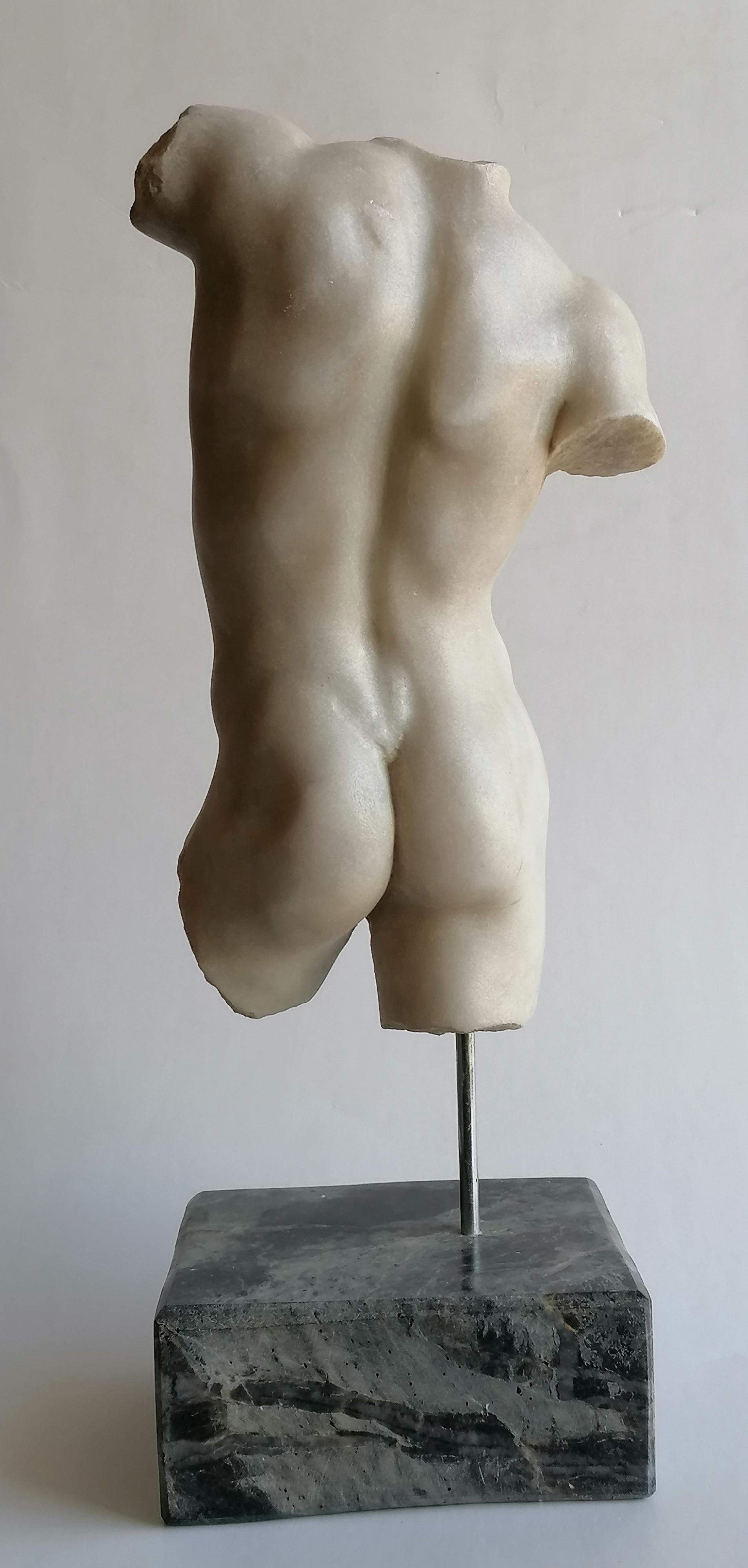Italian Torso maschile classico scolpito su marmo bianco di Carrara