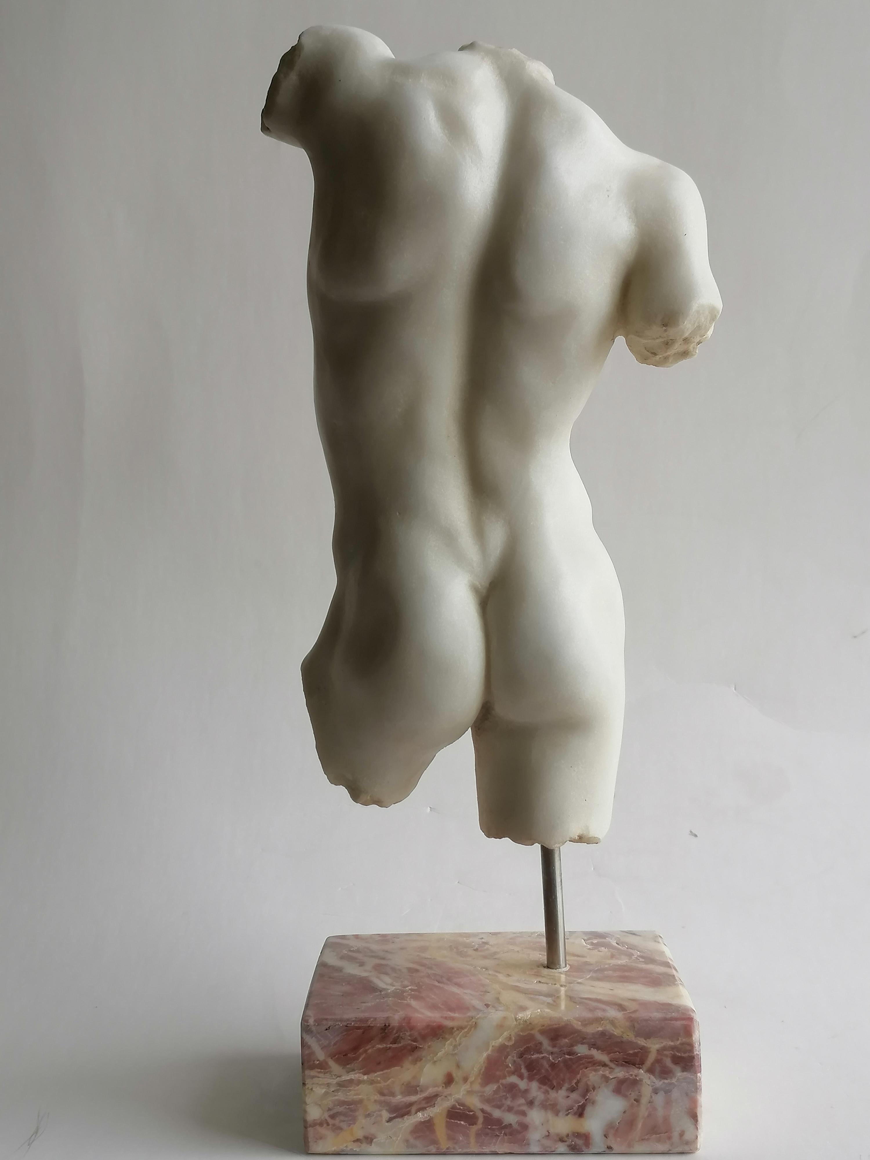 Italian Classical male torso carved on white Carrara marble For Sale