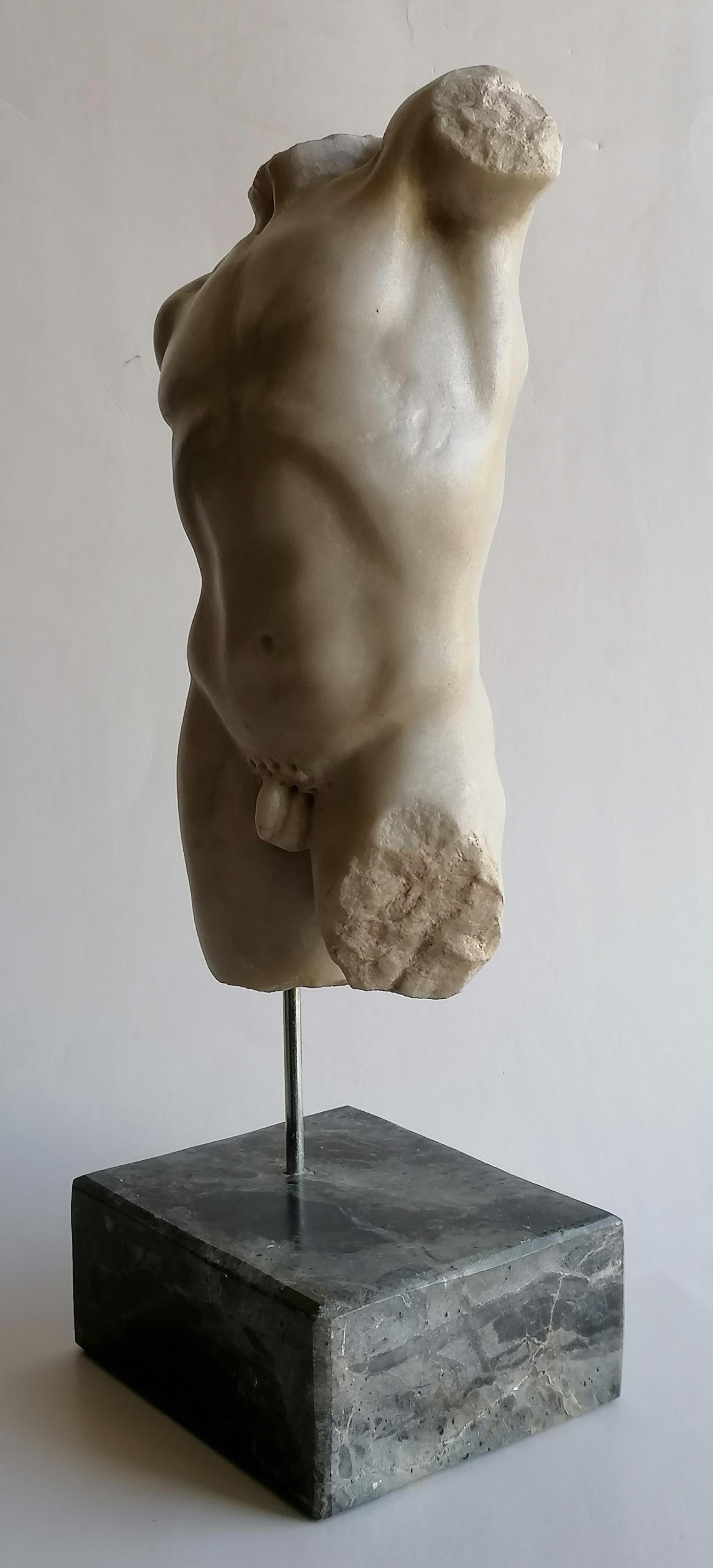 Hand-Crafted Torso maschile classico scolpito su marmo bianco di Carrara