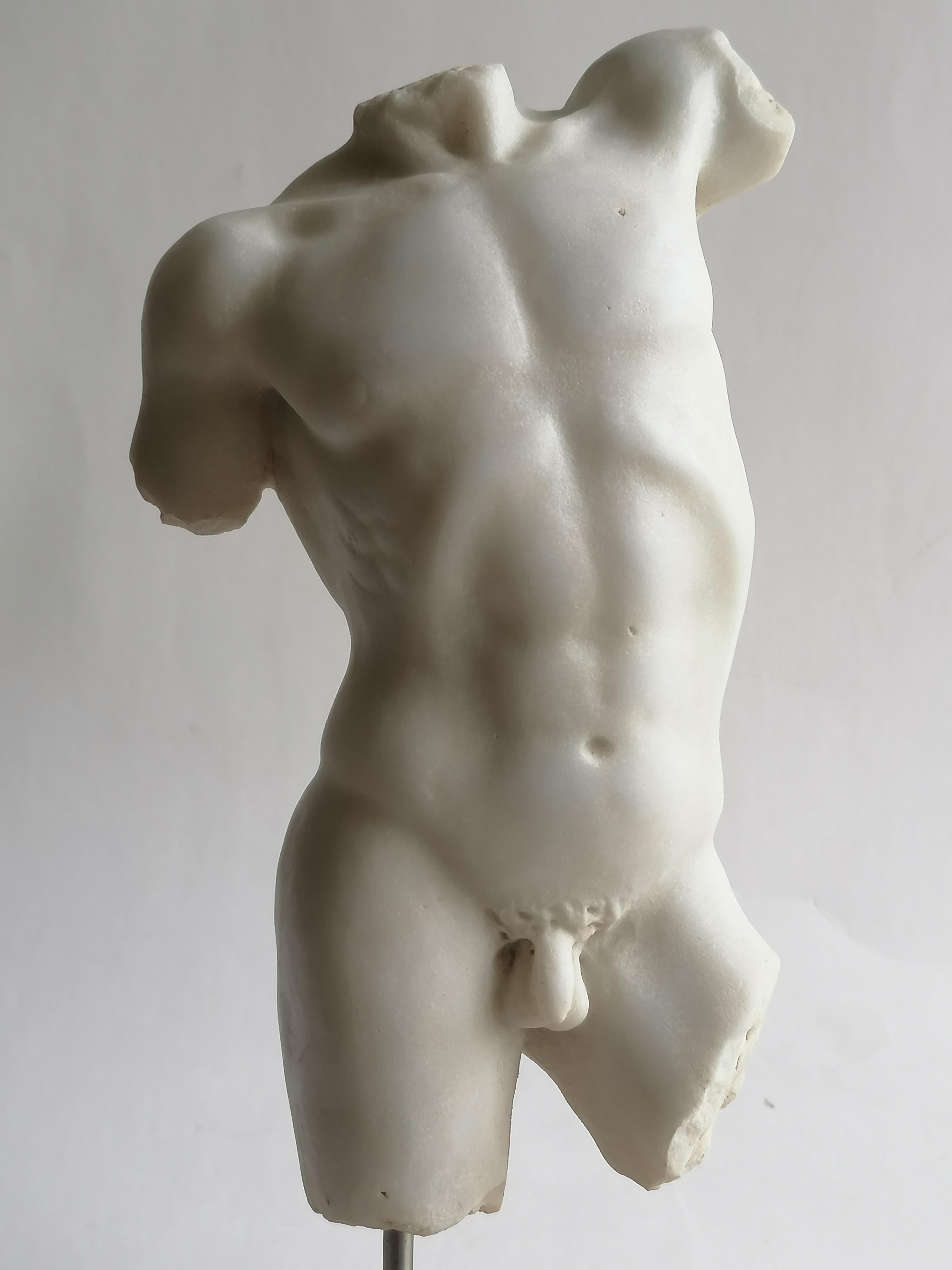 Classical male torso carved on white Carrara marble In Excellent Condition For Sale In Tarquinia, IT