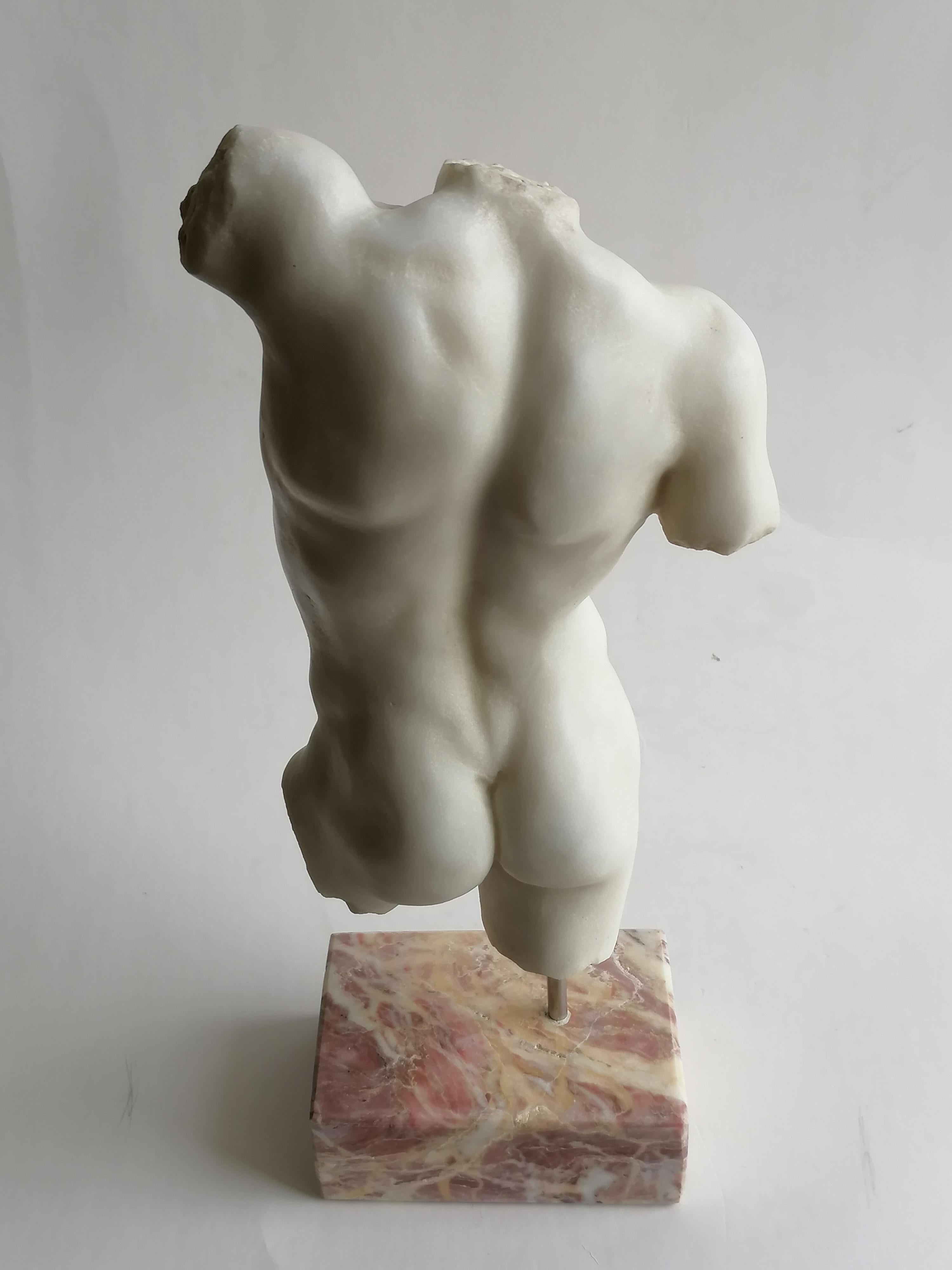 Klassischer männlicher Torso, gemeißelt auf weißem Carrara-Marmor 1