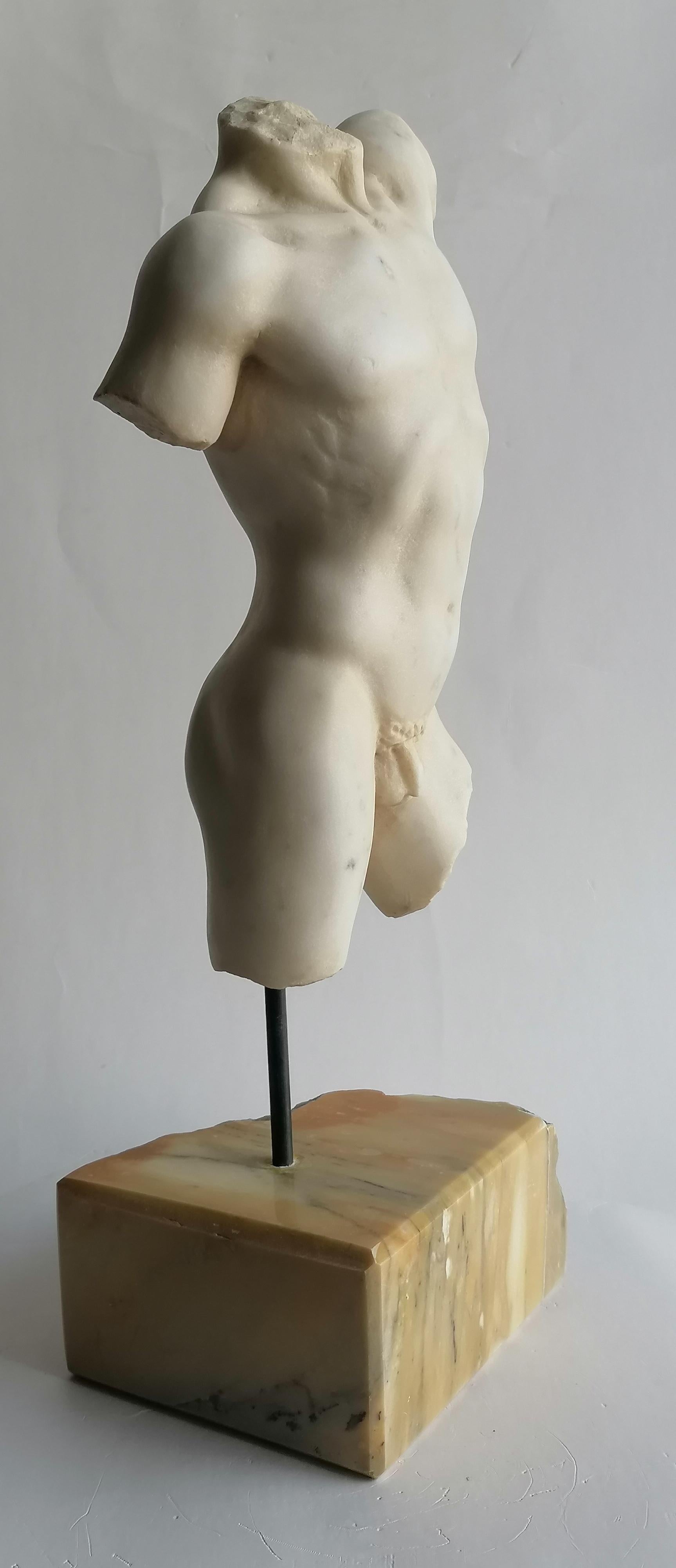 Klassischer männlicher Torso, gemeißelt auf weißem Carrara-Marmor - hergestellt in Italien (Handgefertigt) im Angebot