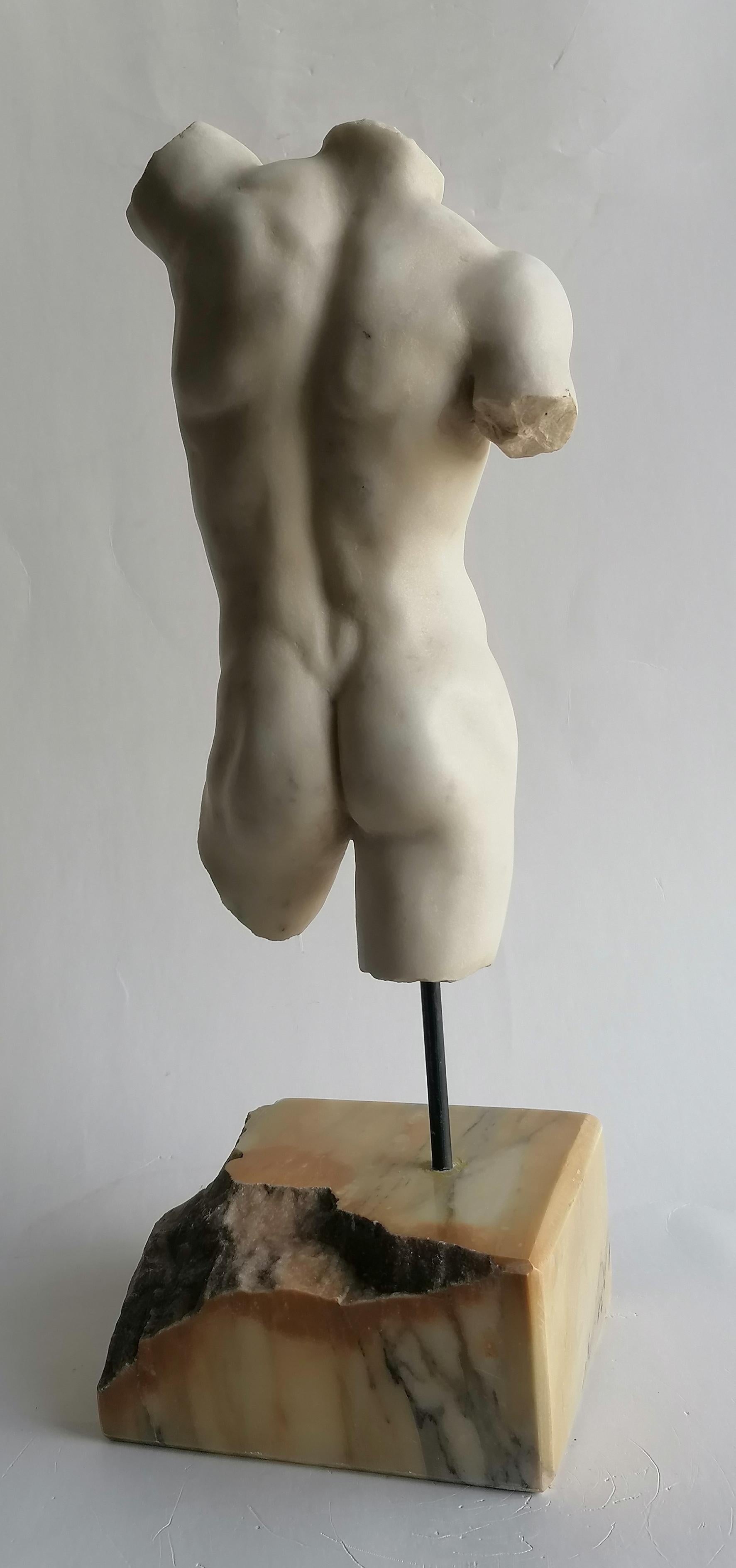 Klassischer männlicher Torso, gemeißelt auf weißem Carrara-Marmor - hergestellt in Italien im Zustand „Hervorragend“ im Angebot in Tarquinia, IT