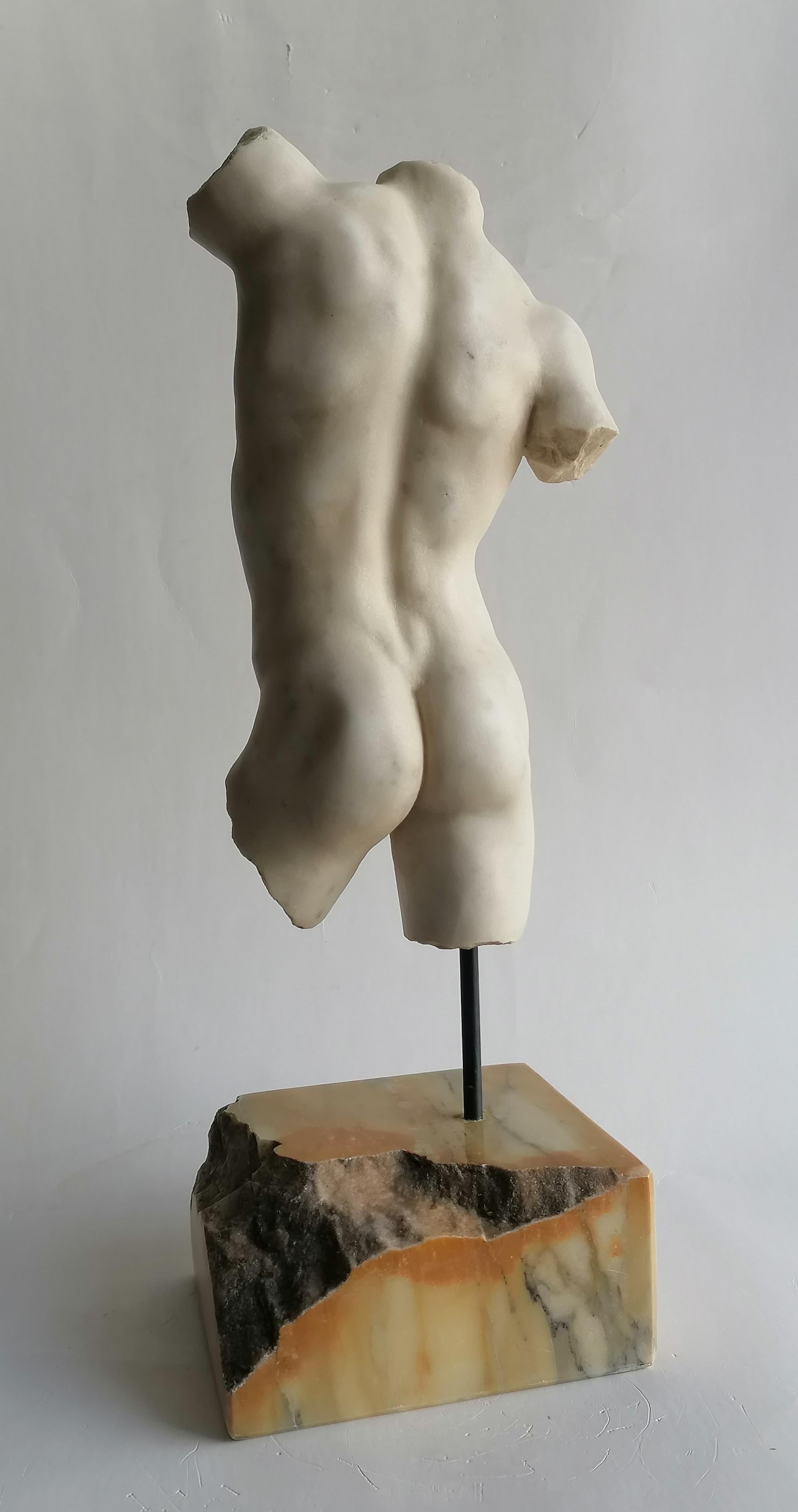 Klassischer männlicher Torso, gemeißelt auf weißem Carrara-Marmor - hergestellt in Italien (Late 20th Century) im Angebot