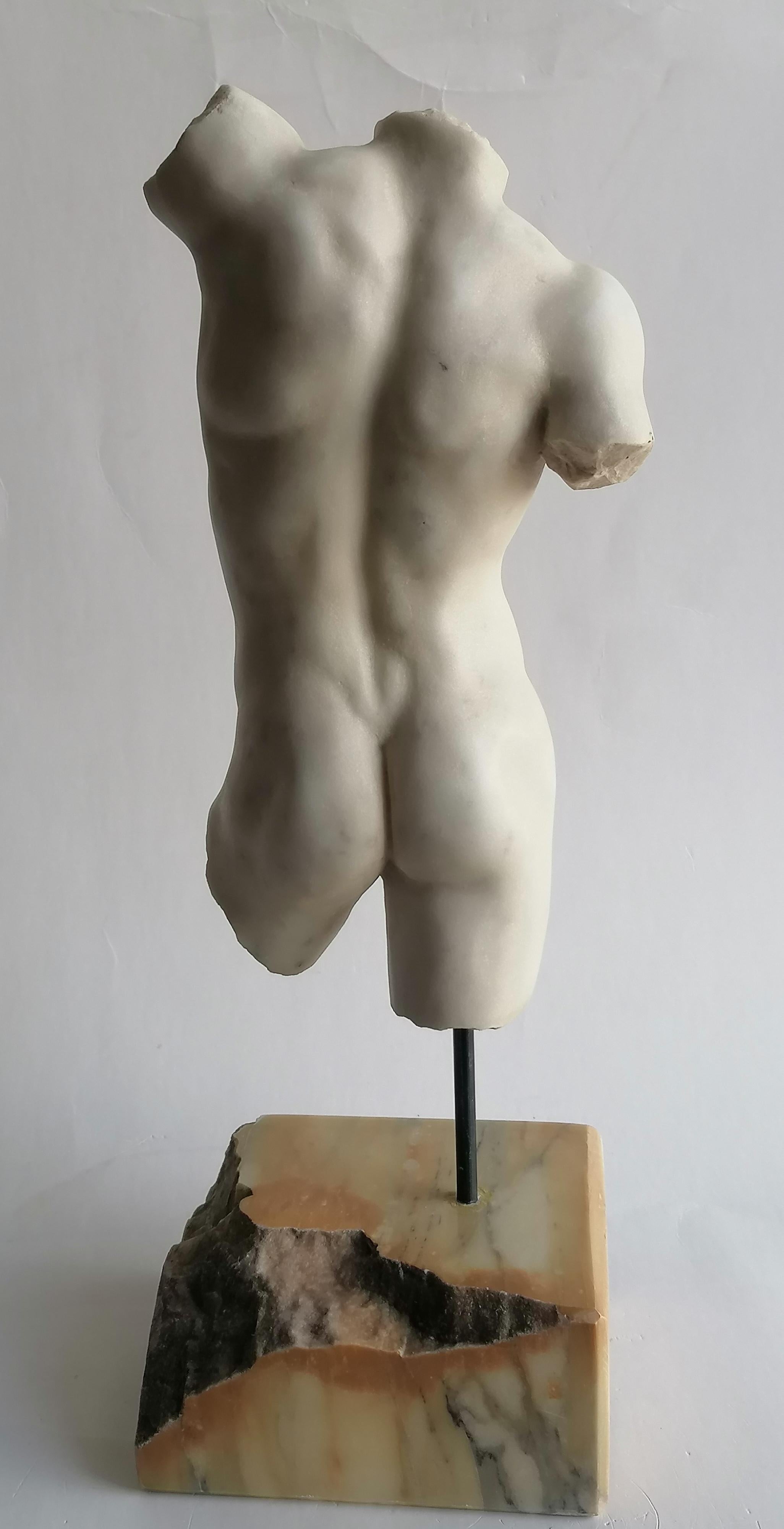 Klassischer männlicher Torso, gemeißelt auf weißem Carrara-Marmor - hergestellt in Italien im Angebot 1