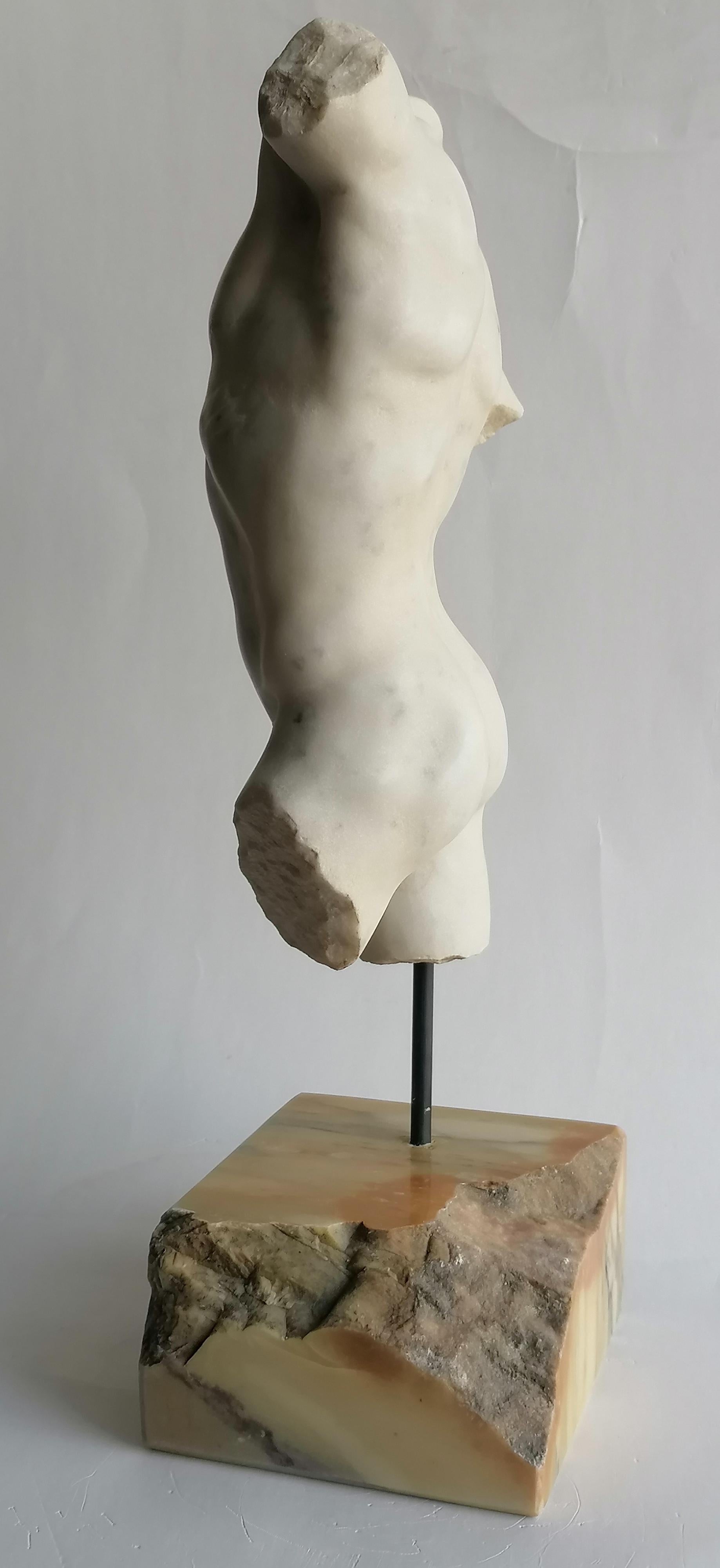 Klassischer männlicher Torso, gemeißelt auf weißem Carrara-Marmor - hergestellt in Italien im Angebot 2