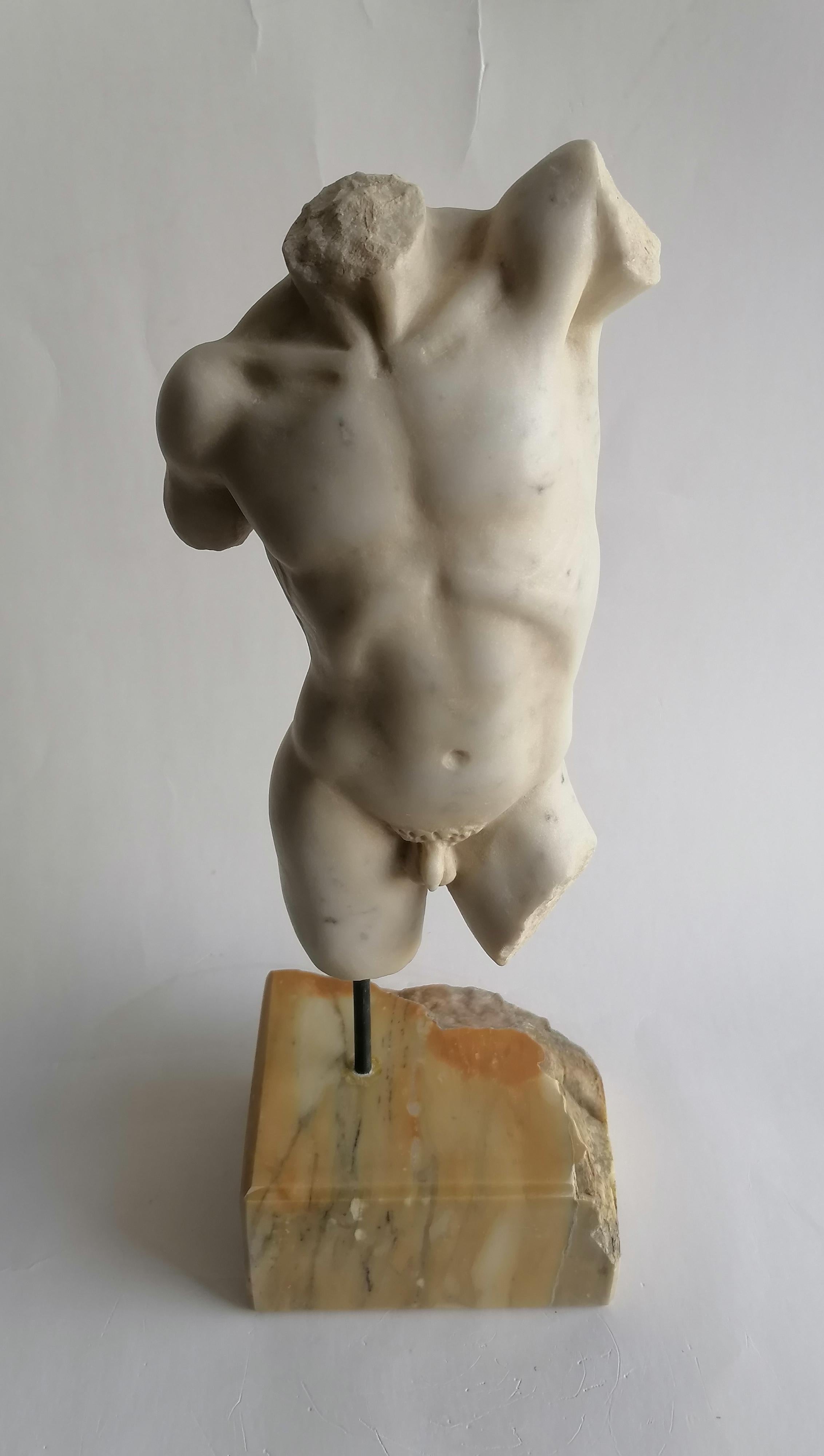 Klassischer männlicher Torso, gemeißelt auf weißem Carrara-Marmor - hergestellt in Italien im Angebot 3