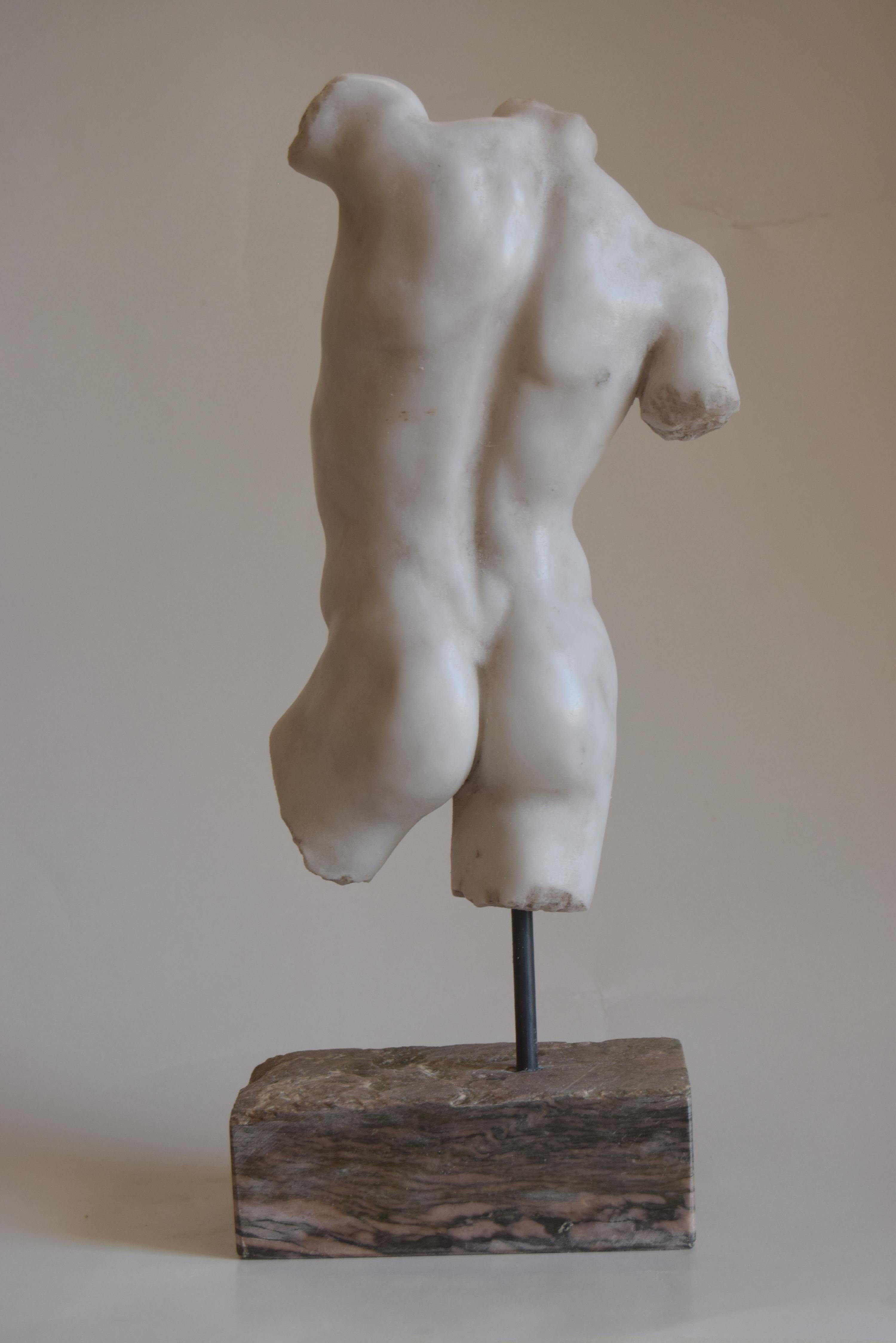Italian Classical male torso carved on white Carrara marble -made in Italy