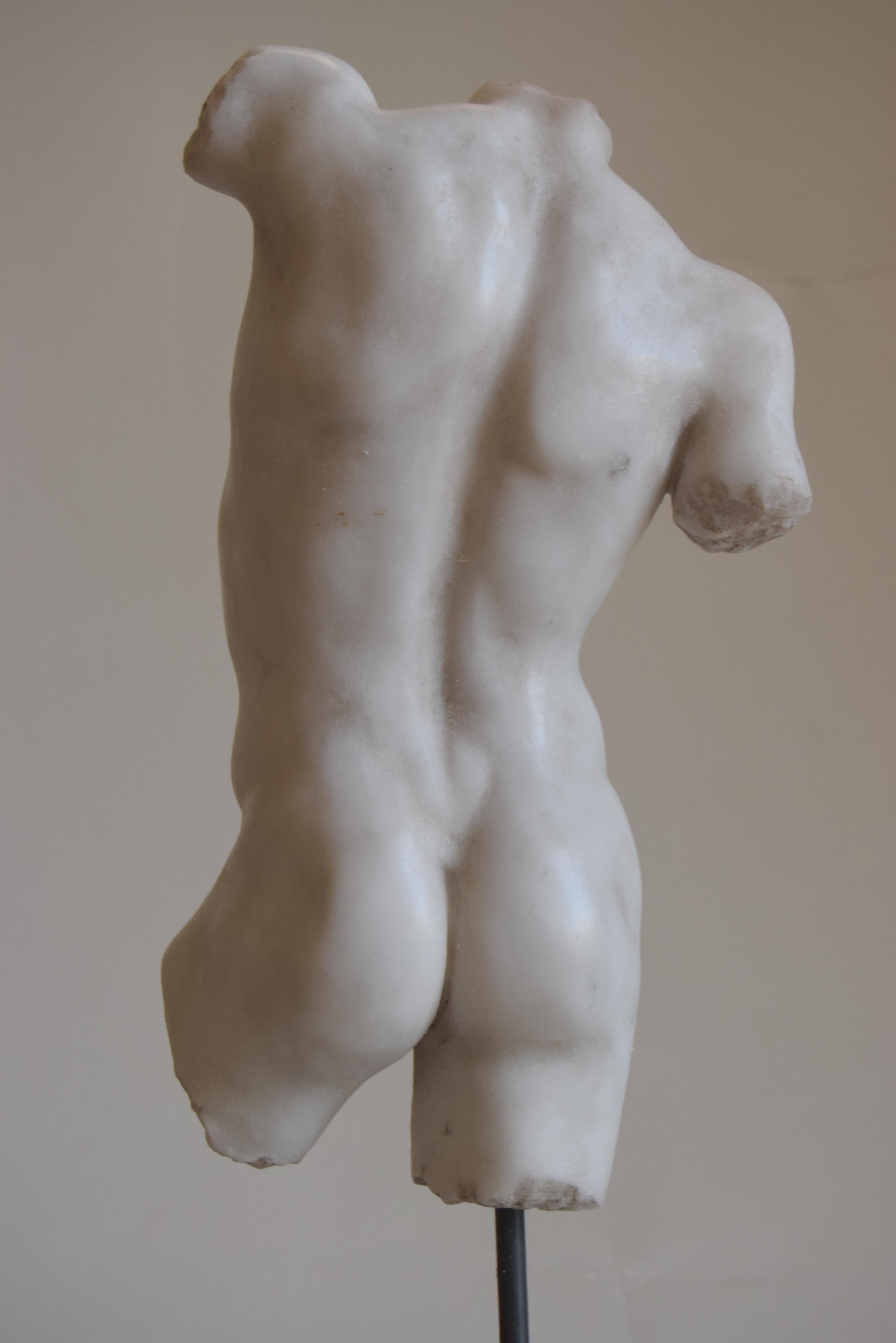 Hand-Crafted Classical male torso carved on white Carrara marble -made in Italy