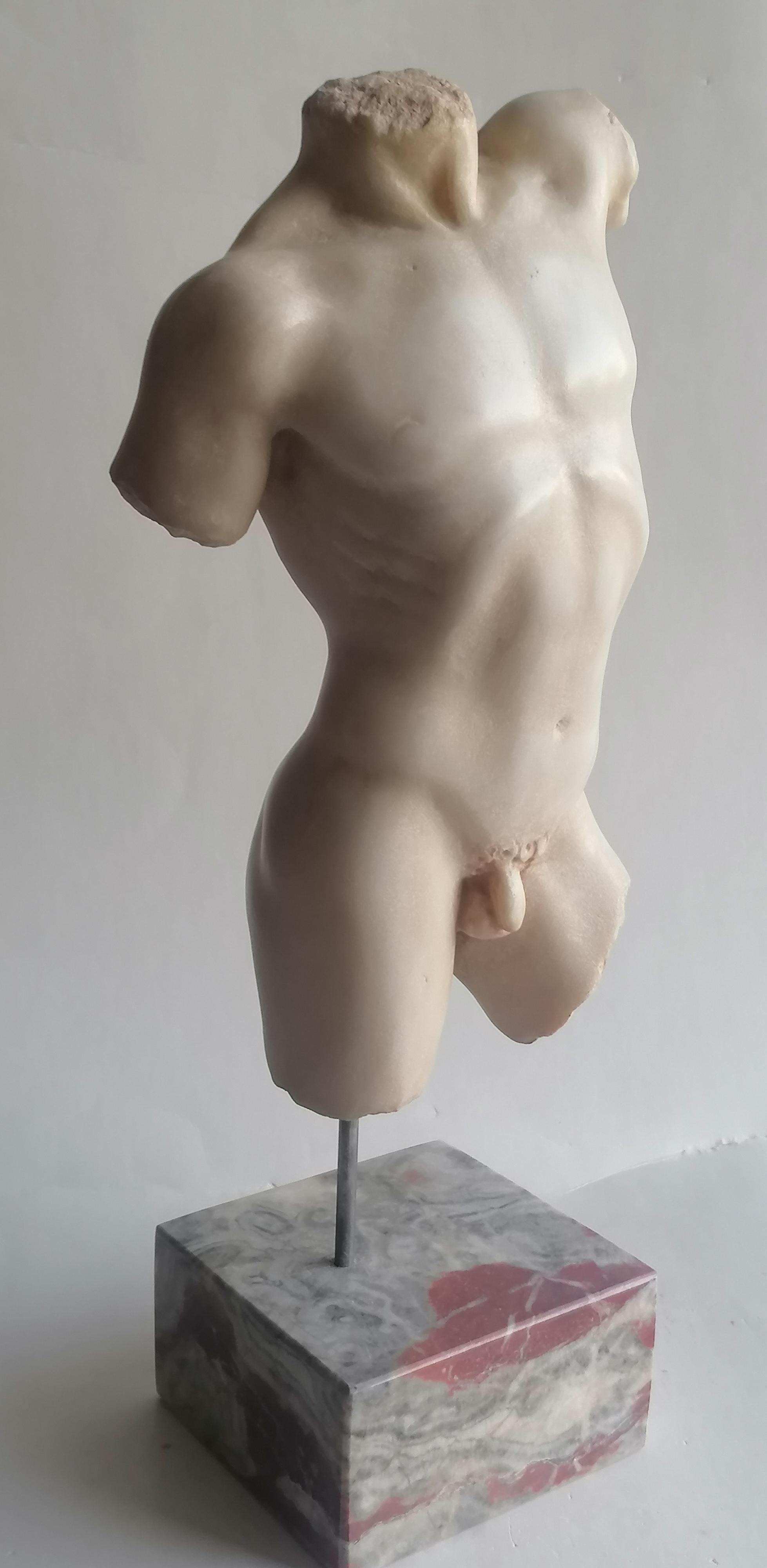 Torse d'homme classique sculpté sur marbre blanc de Carrare - fabriqué en Italie Excellent état - En vente à Tarquinia, IT