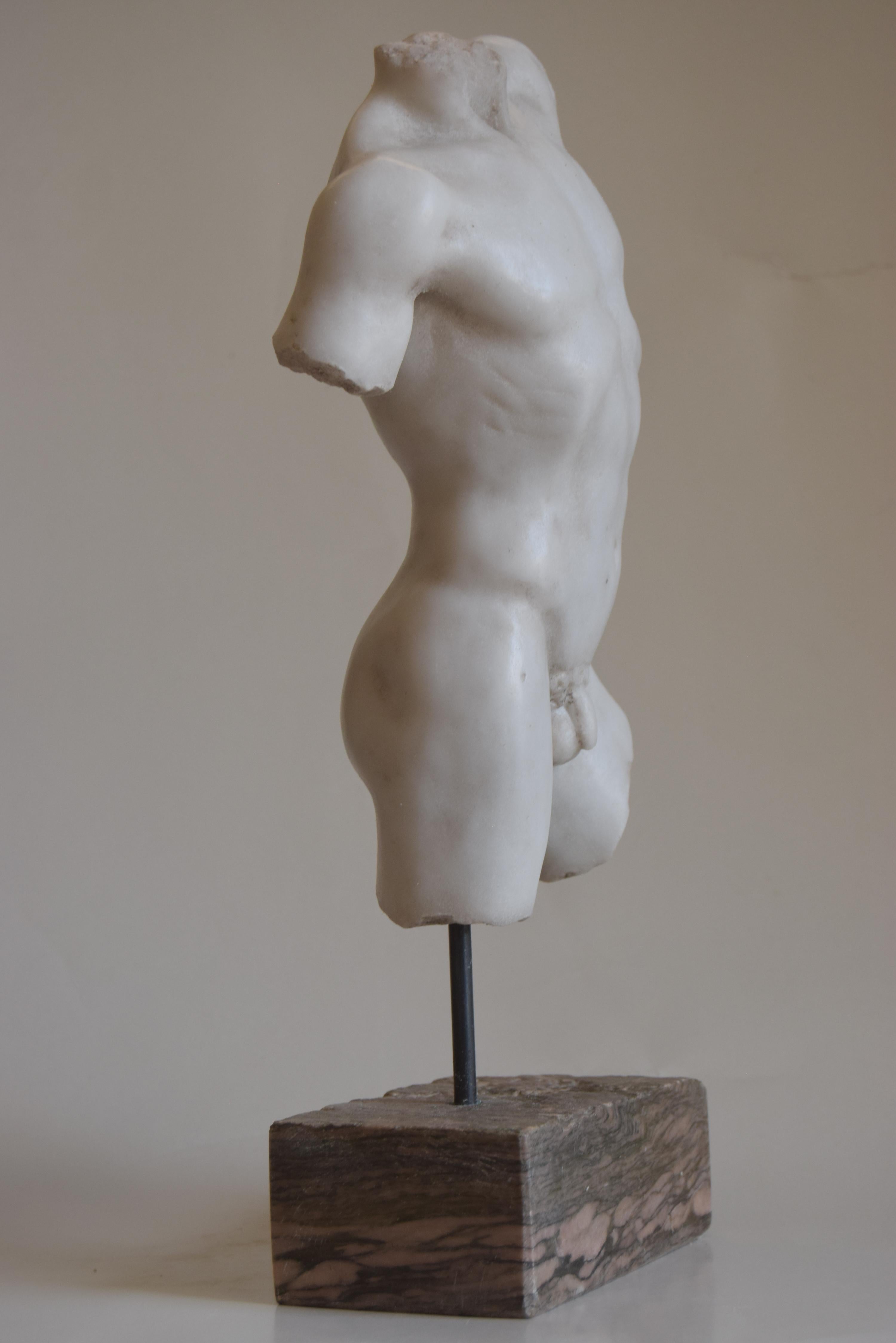 Classical male torso carved on white Carrara marble -made in Italy In Excellent Condition In Tarquinia, IT