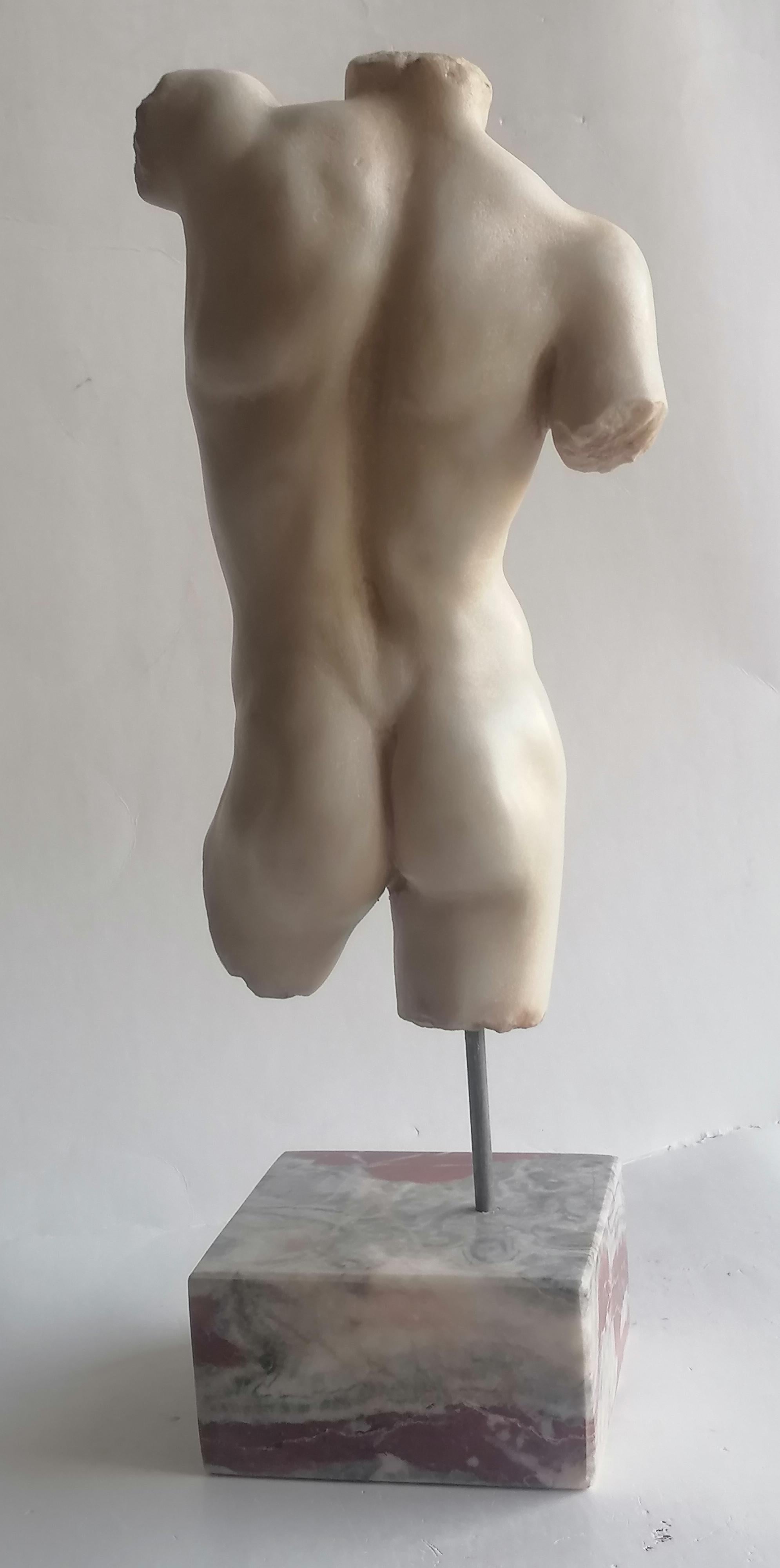 Marbre de Carrare Torse d'homme classique sculpté sur marbre blanc de Carrare - fabriqué en Italie en vente