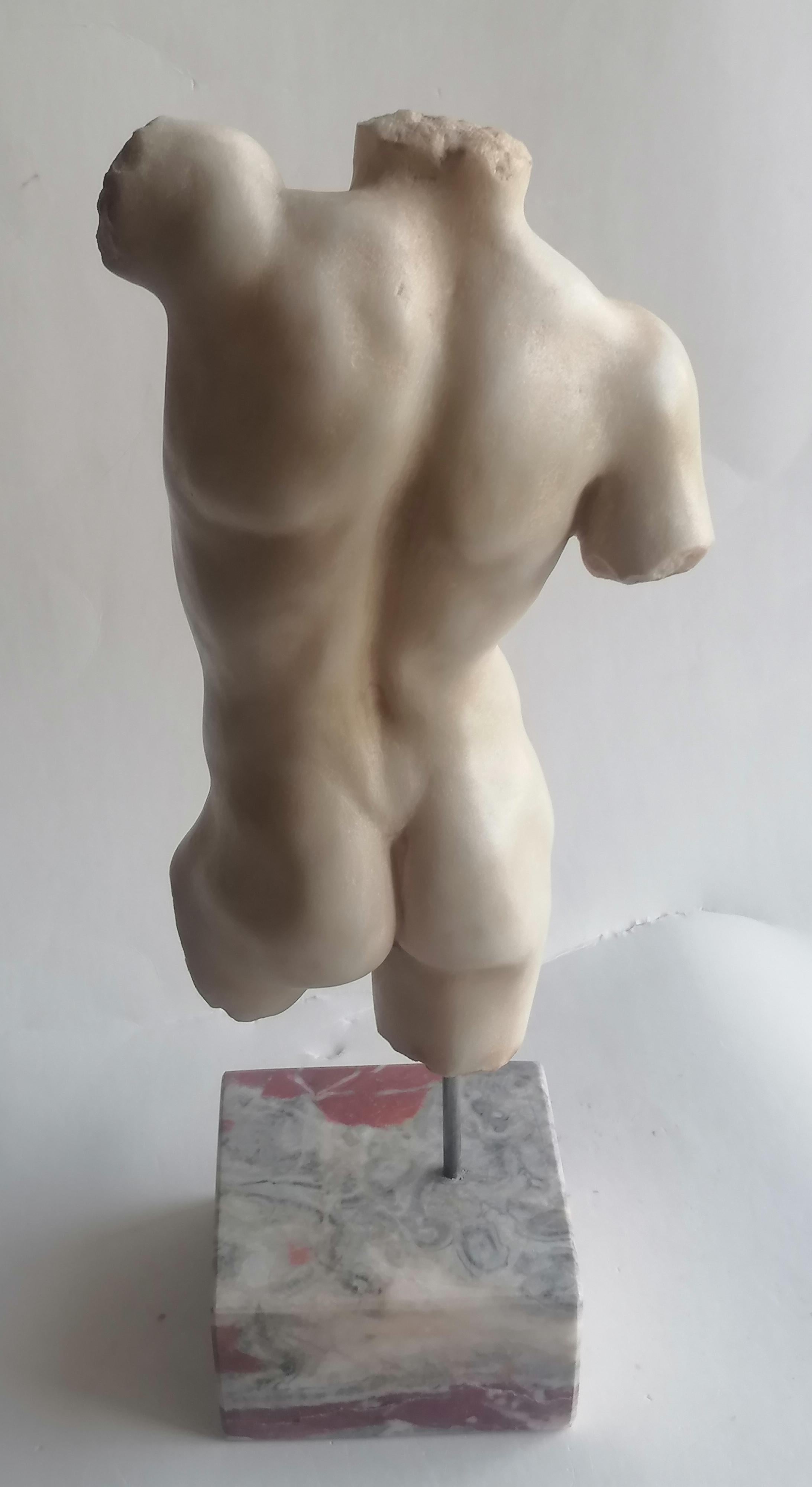 Torse d'homme classique sculpté sur marbre blanc de Carrare - fabriqué en Italie en vente 2