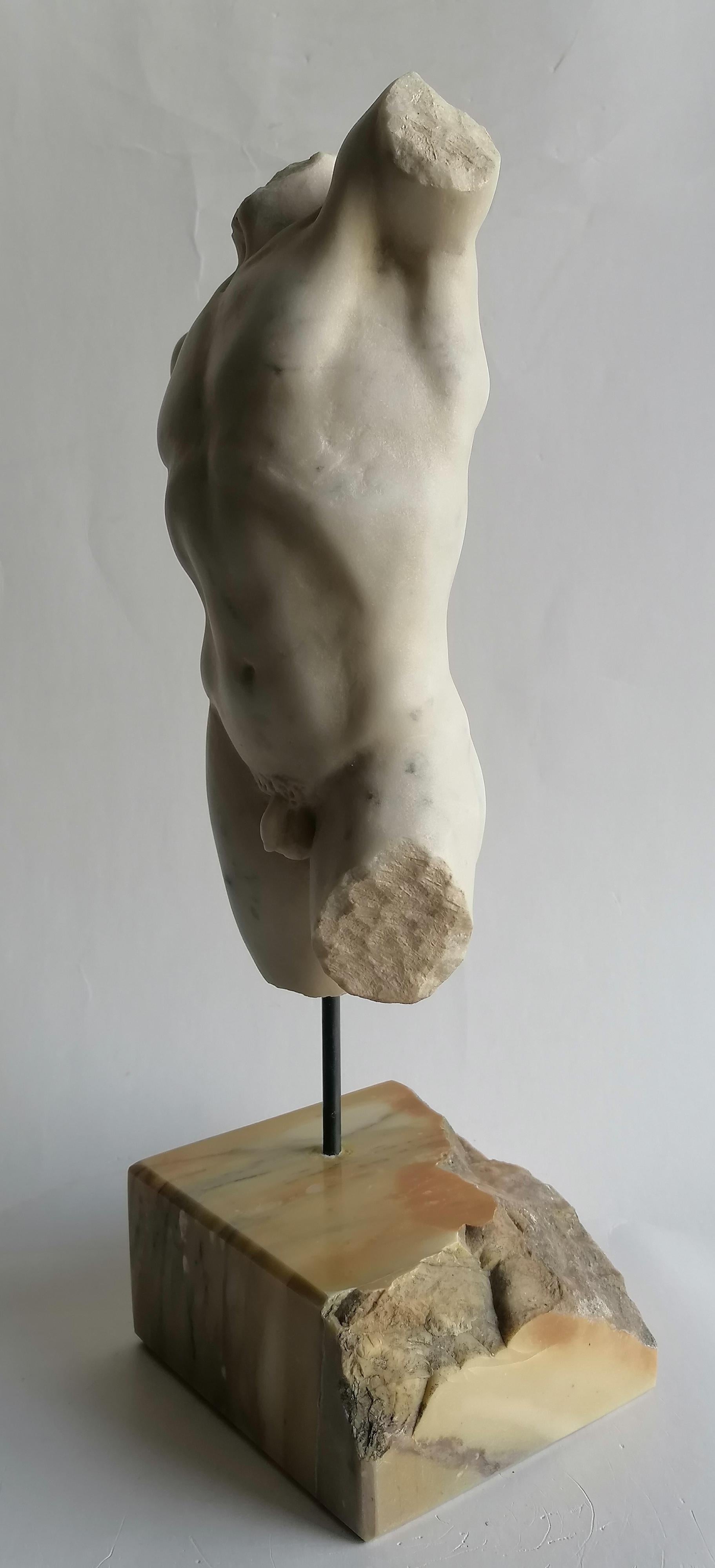Klassischer männlicher Torso, gemeißelt auf weißem Carrara-Marmor - hergestellt in Italien (Klassisch-römisch) im Angebot