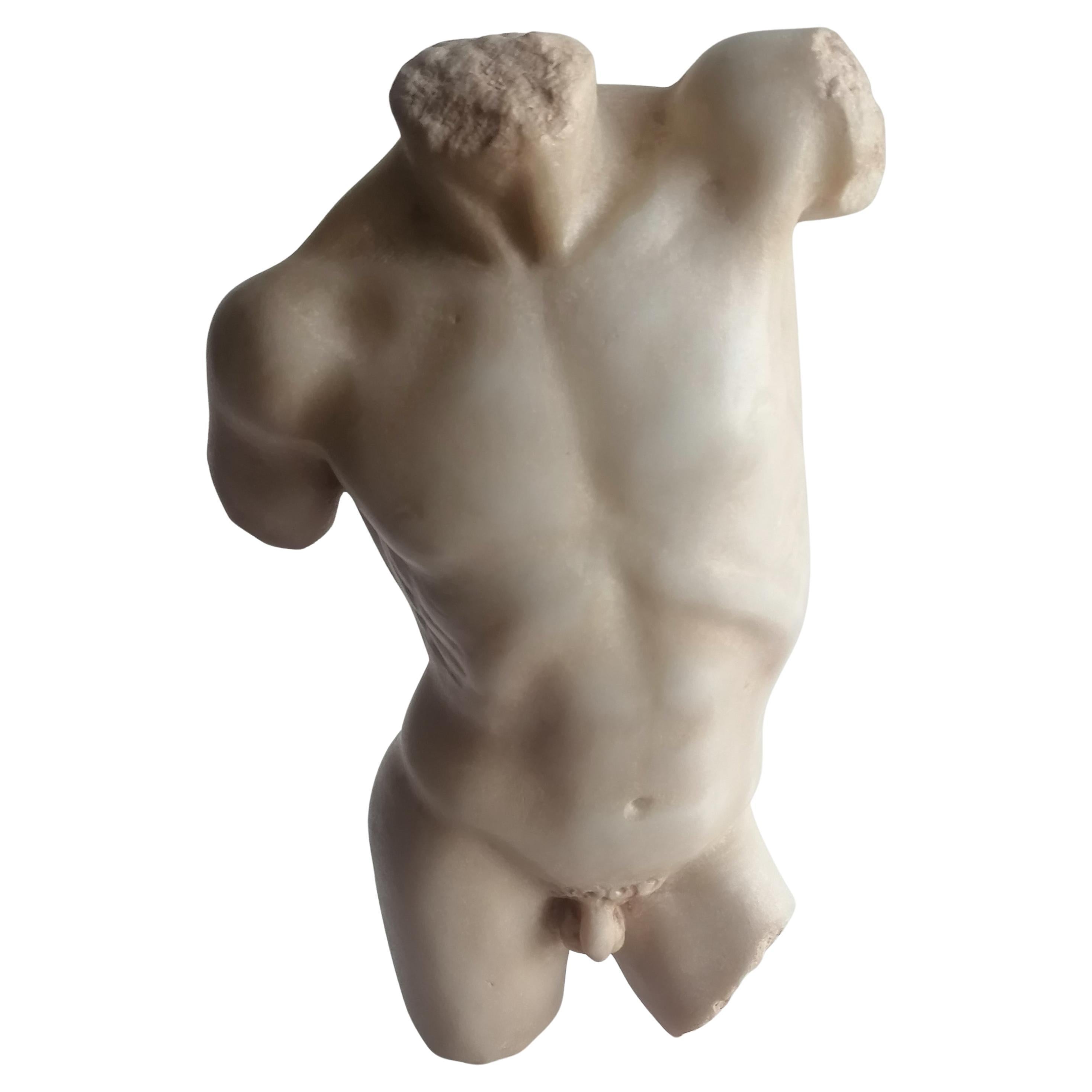 Sculpture, Torse masculin, art classique, art grec, Torse, marbre blanc de Carrare, sculpture classique, torse antique, torse grec, sculpture statuaire en marbre
Torse masculin sculpté sur du marbre blanc de Carrare statuaire, modèle