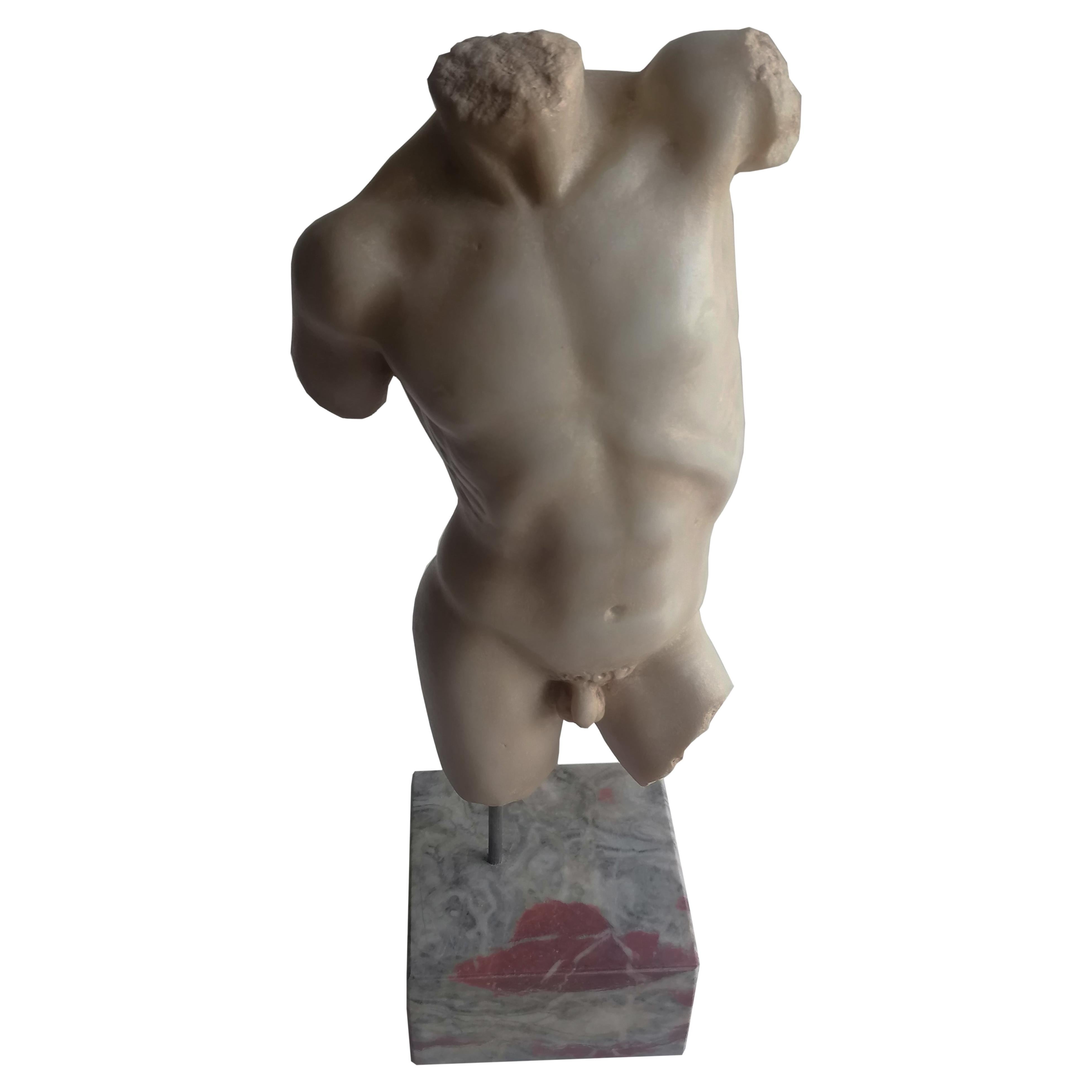 Torse d'homme classique sculpté sur marbre blanc de Carrare - fabriqué en Italie