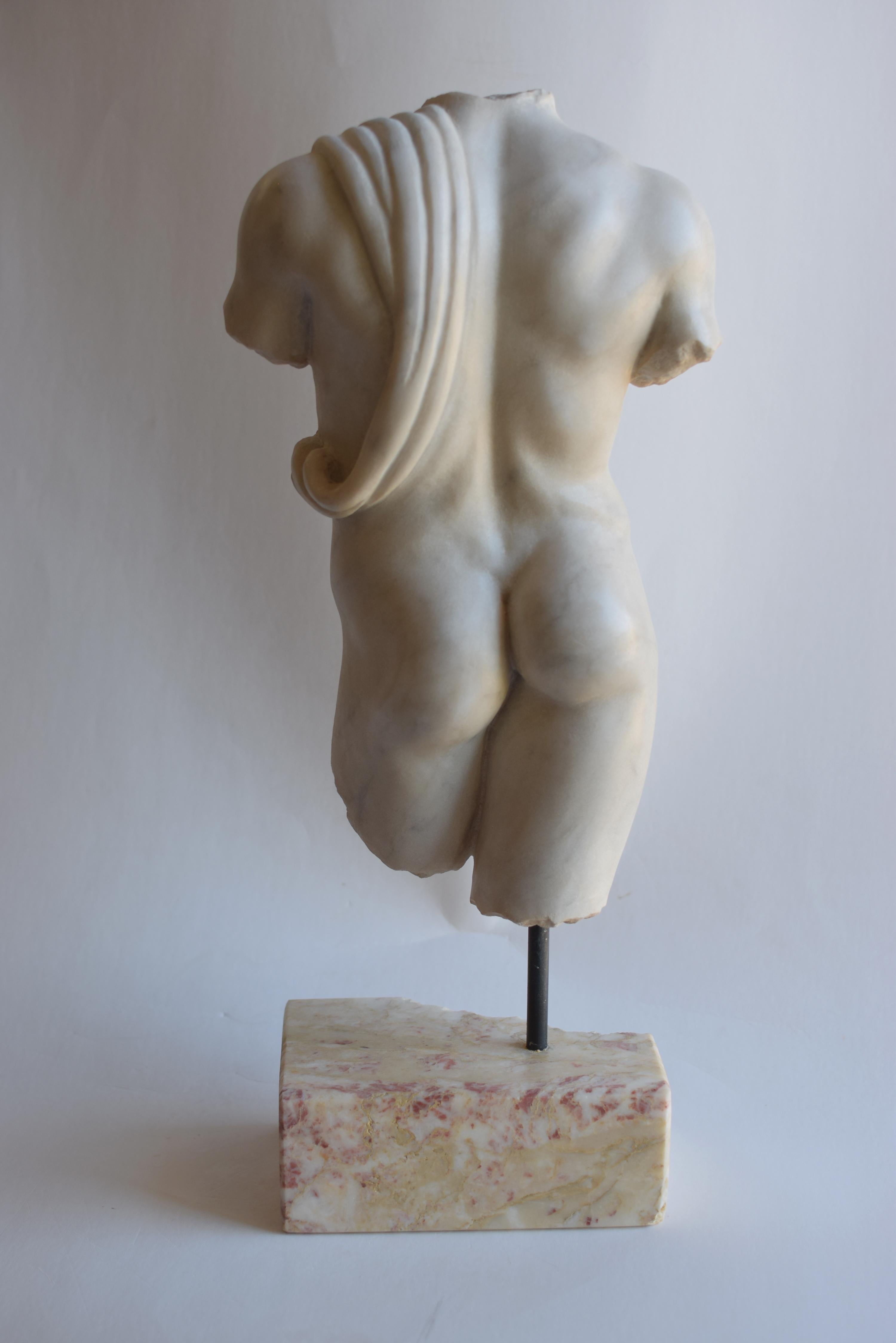 Italian Torso maschile con panneggio. scolpito su marmo bianco di Carrara For Sale