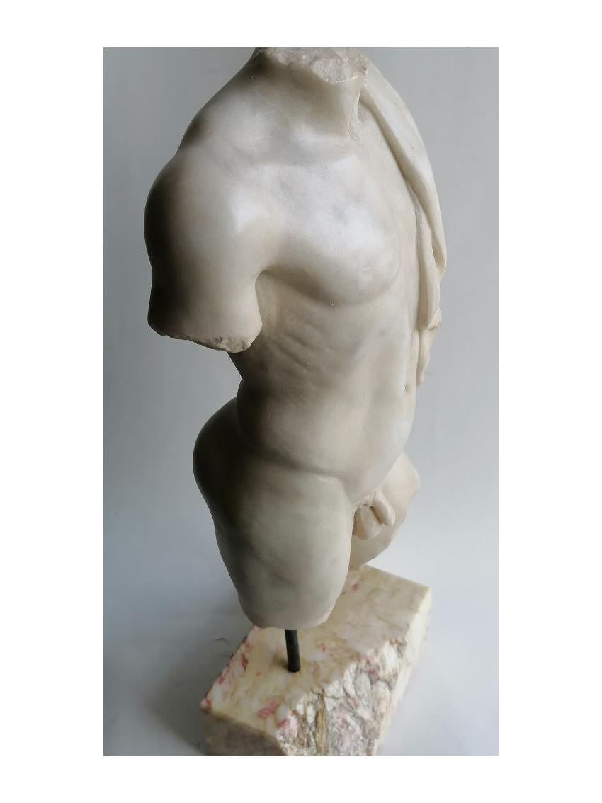 Marble Torso maschile con panneggio. scolpito su marmo bianco di Carrara For Sale